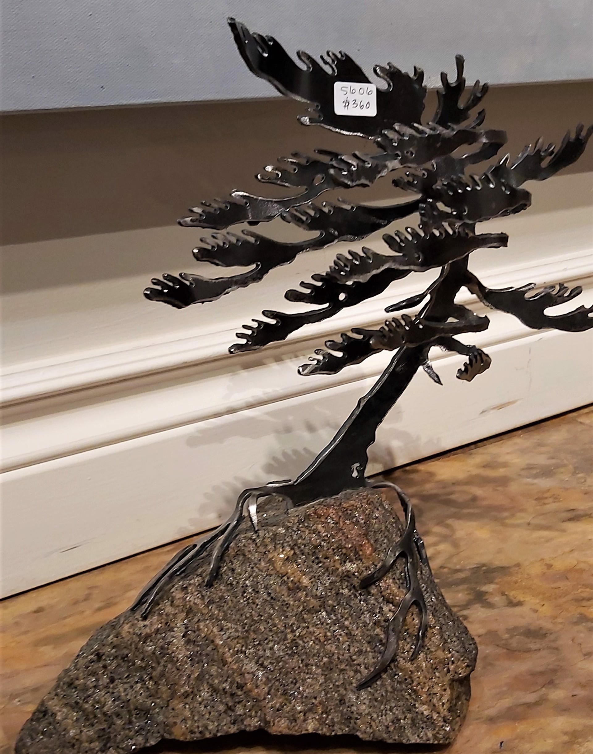 Windswept Pine on Rock #5606 by Cathy Mark