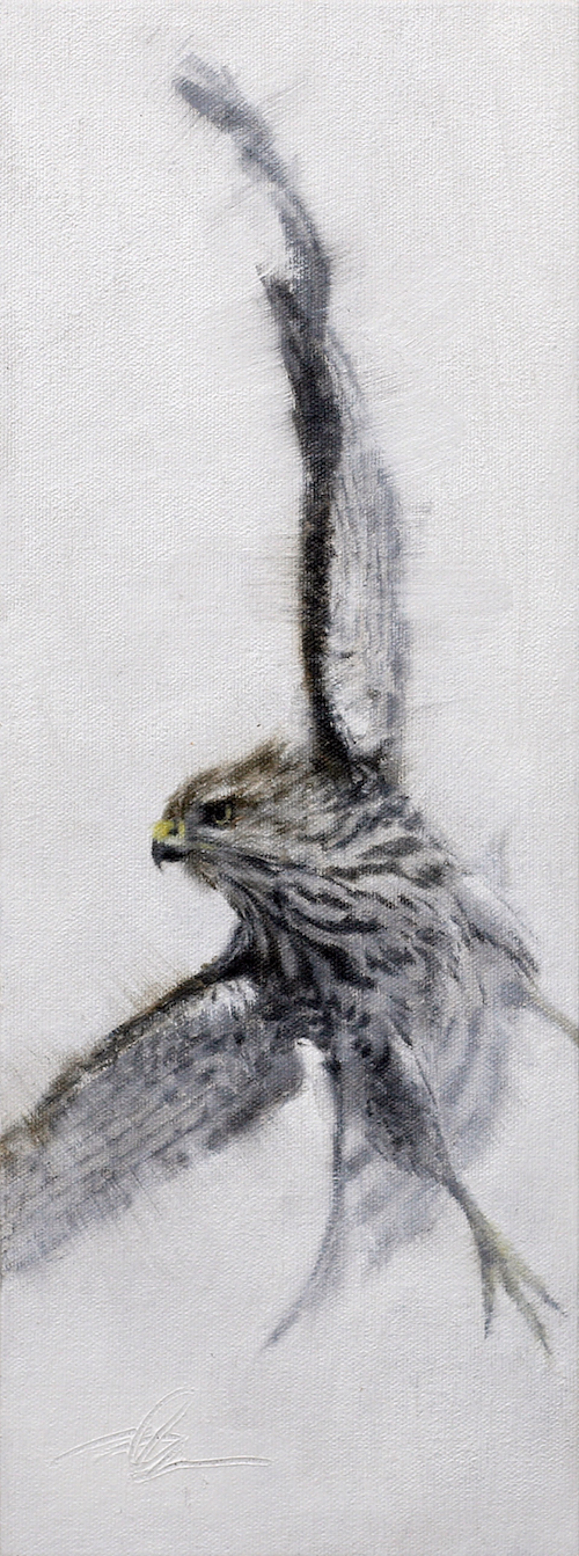 Original Oil Painting Of A Coopers Hawk In Flight Turning With One Wing Tip Up And The Other Down In Gray Scale
