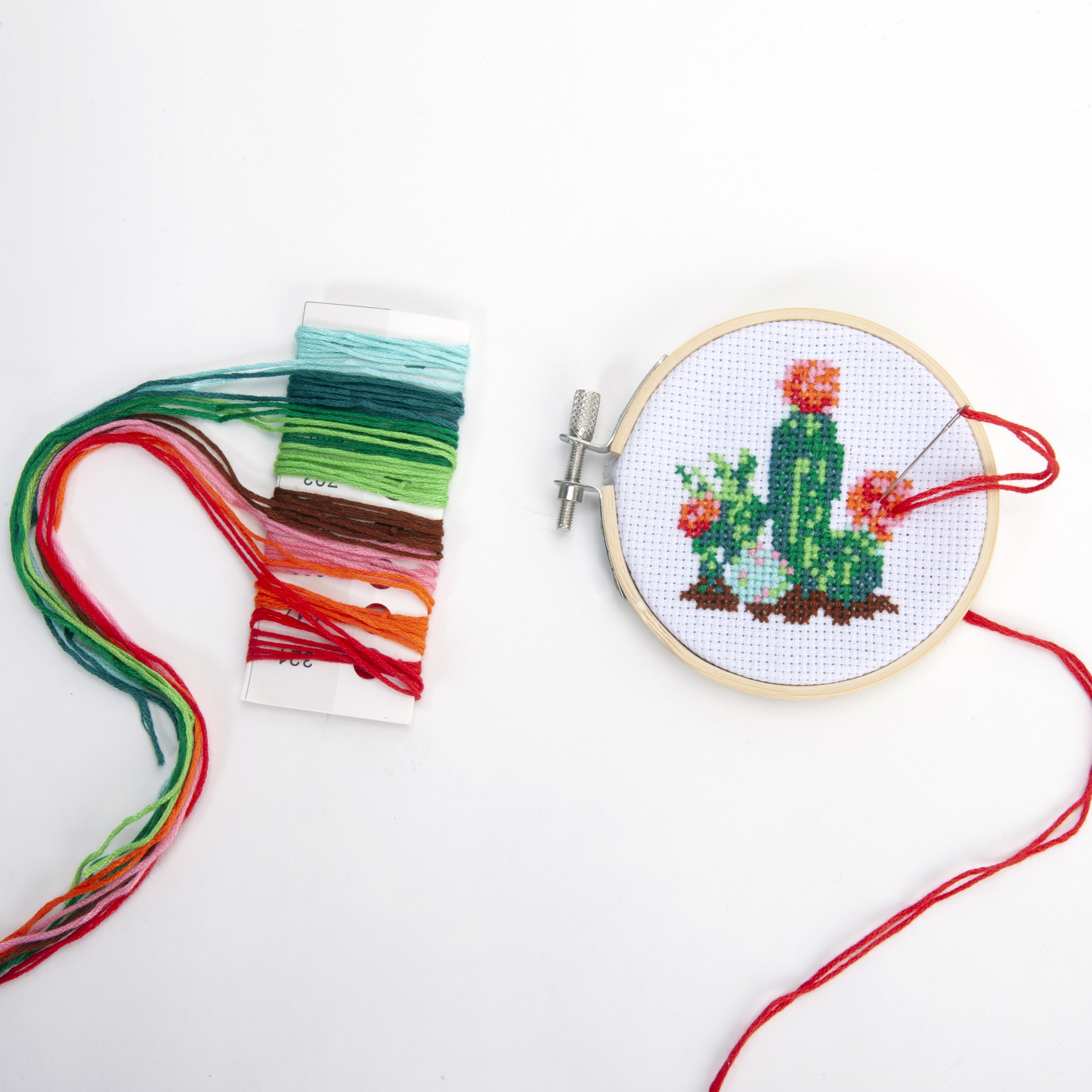 Mini Cross Stitch Kit - Cactus by Chauvet Arts