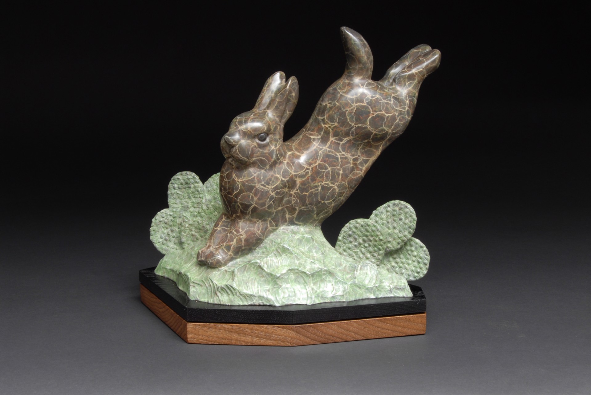 Bunny Hop by Gerald Balciar