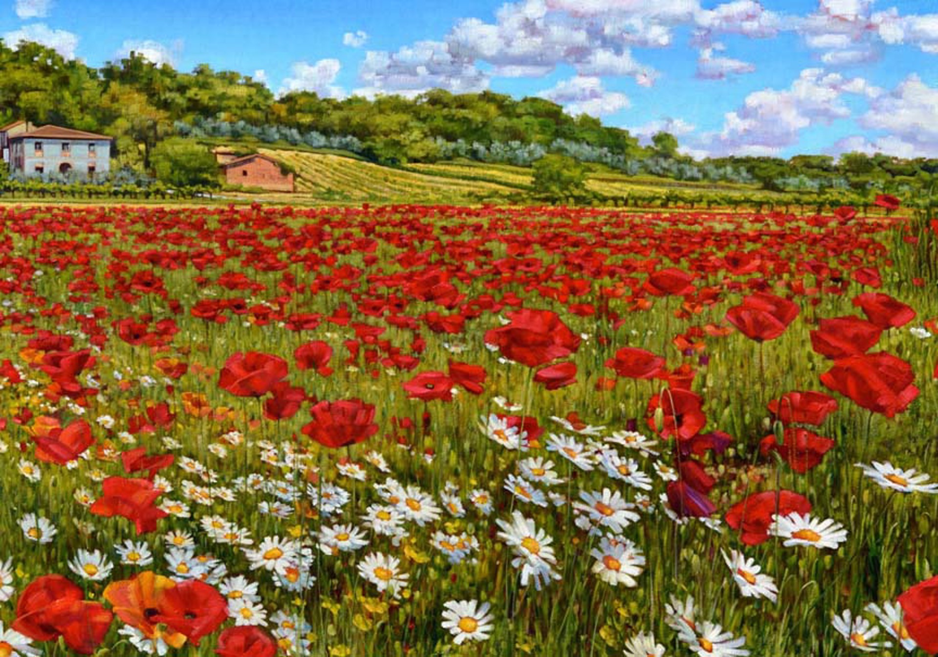 May Poppy Fields - SOLD by Commission Possibilities / Previously Sold ZX