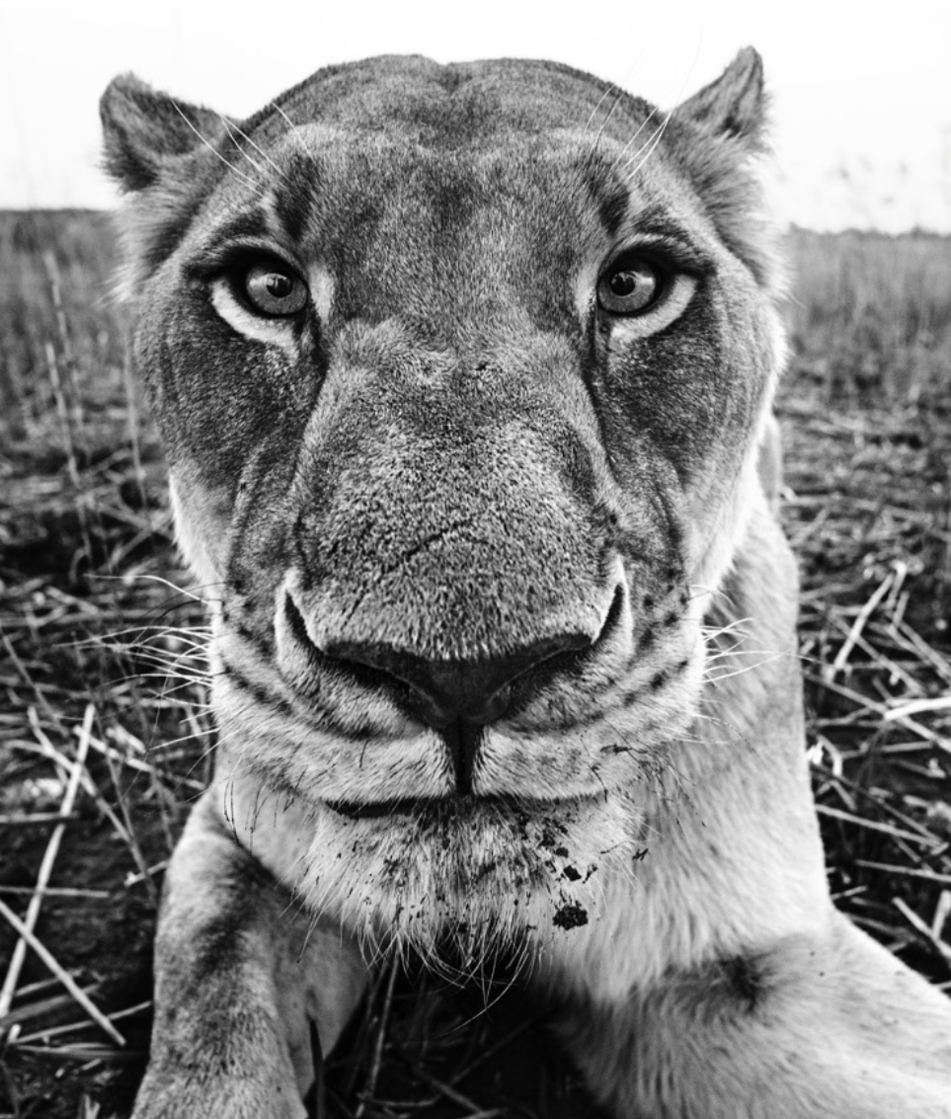 The Hunger Games by David Yarrow