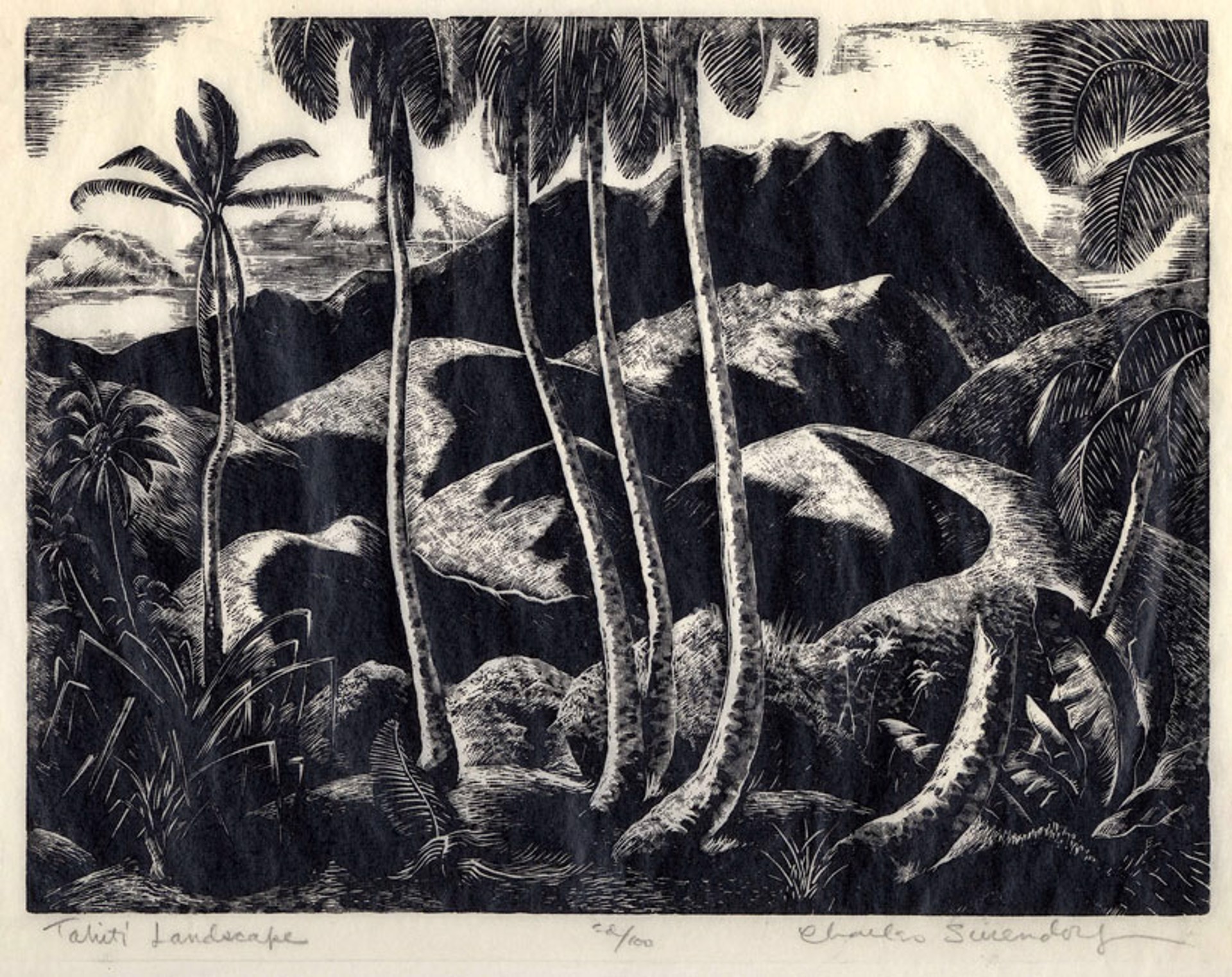 Tahiti Landscape by Charles Surendorf
