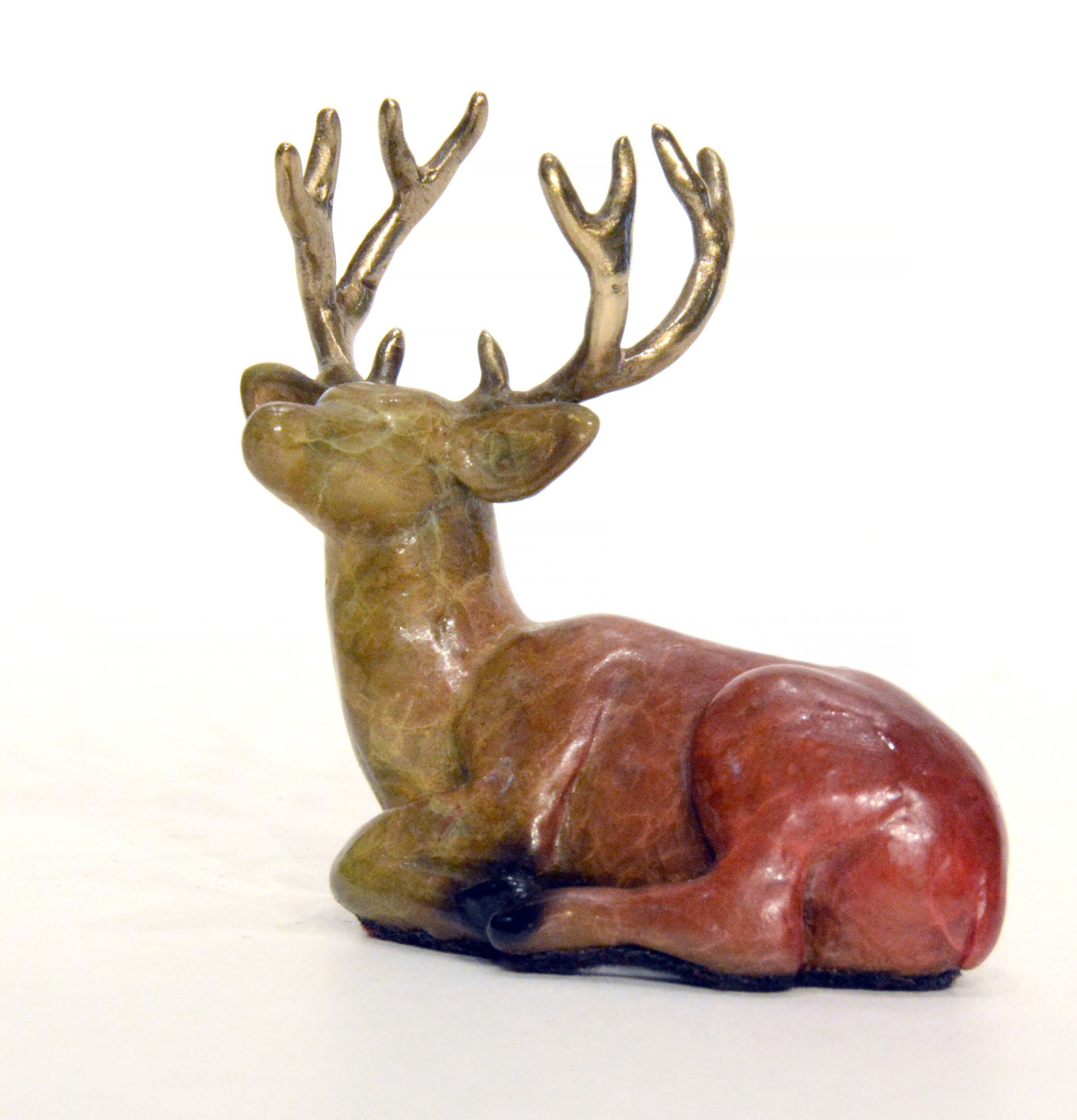 Tucked In (Buck Mule Deer) by Eric Wilcox