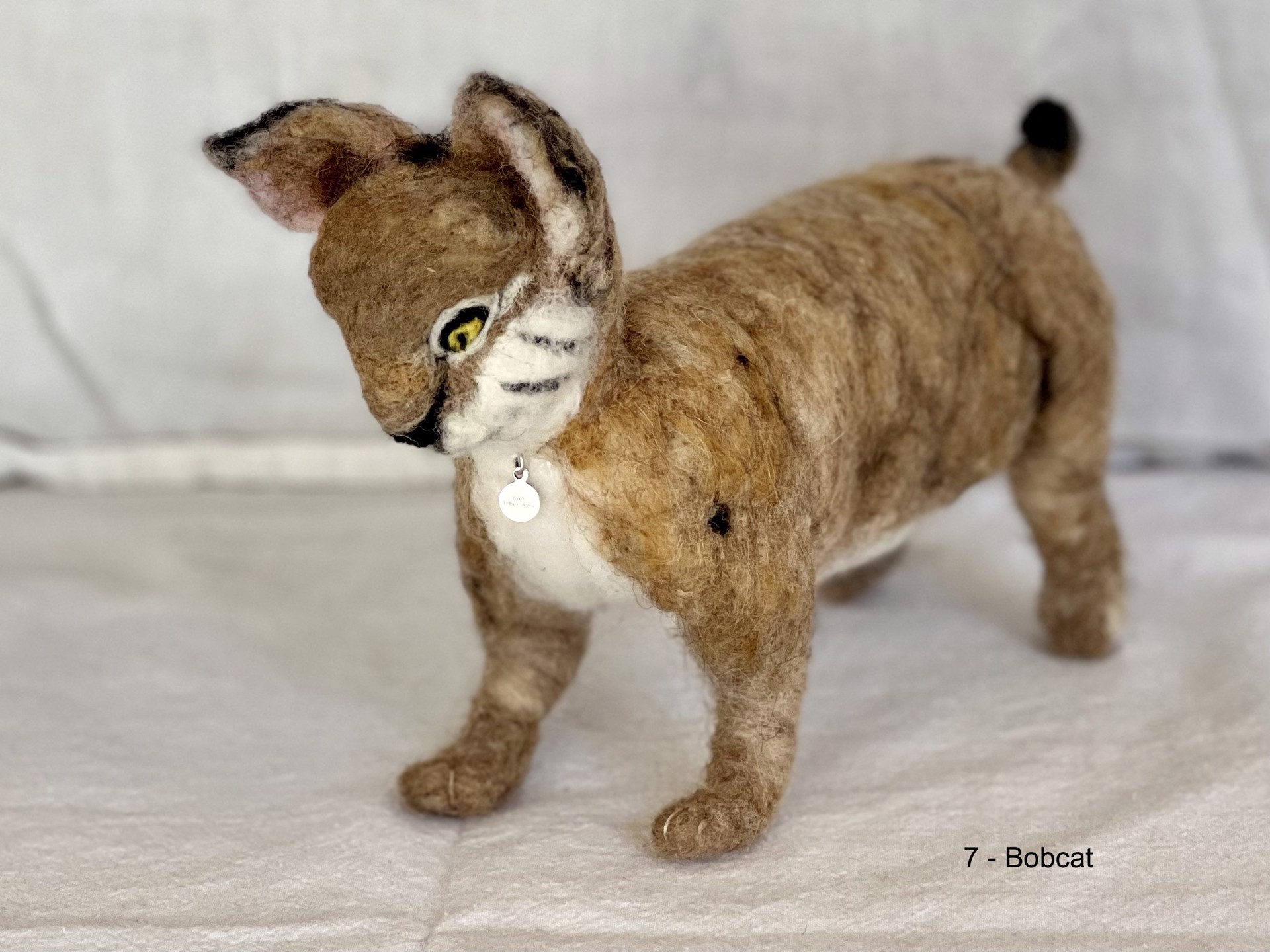 Bobcat I by Barb Ottum