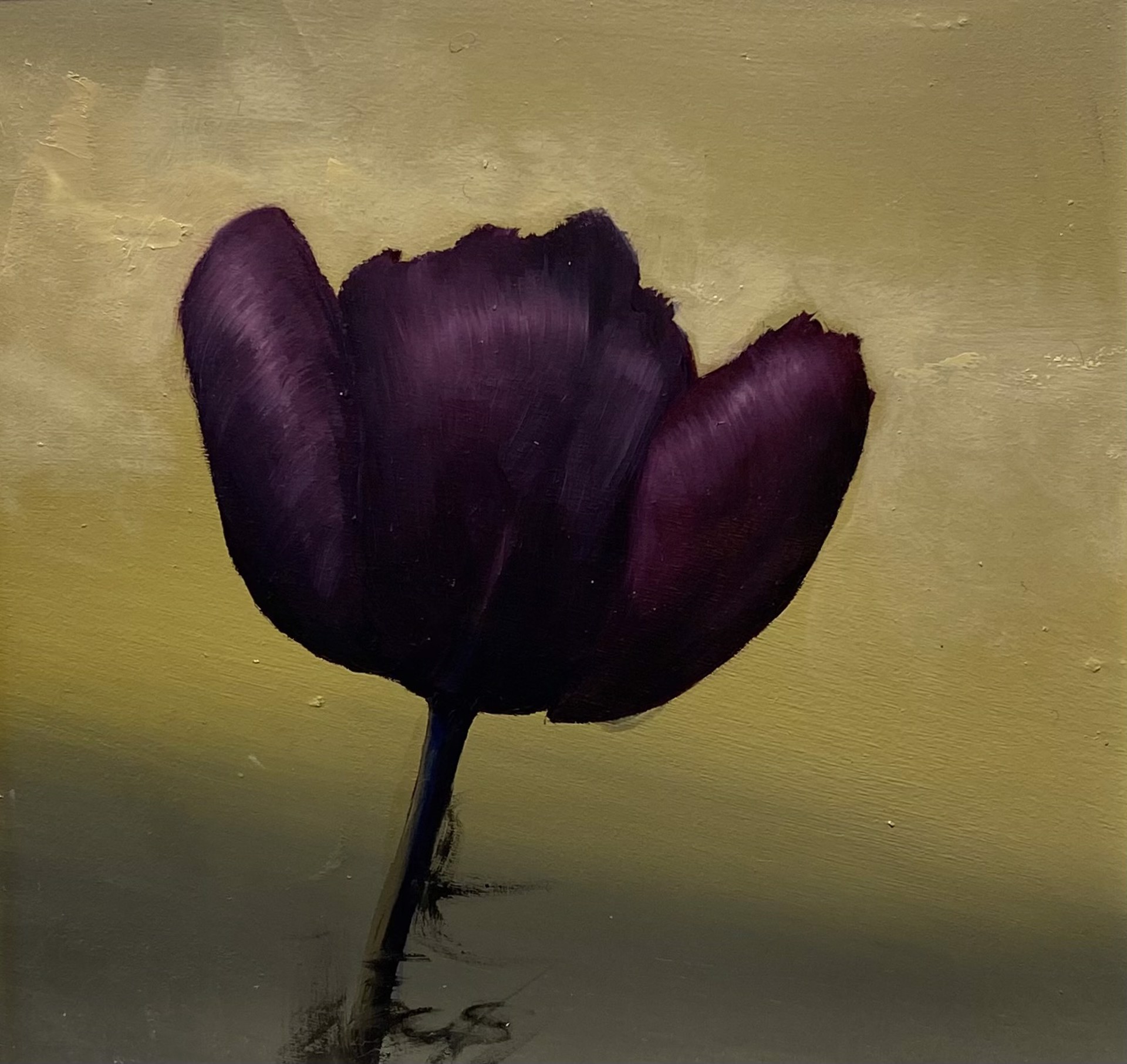 Tulip by Gregory Smith