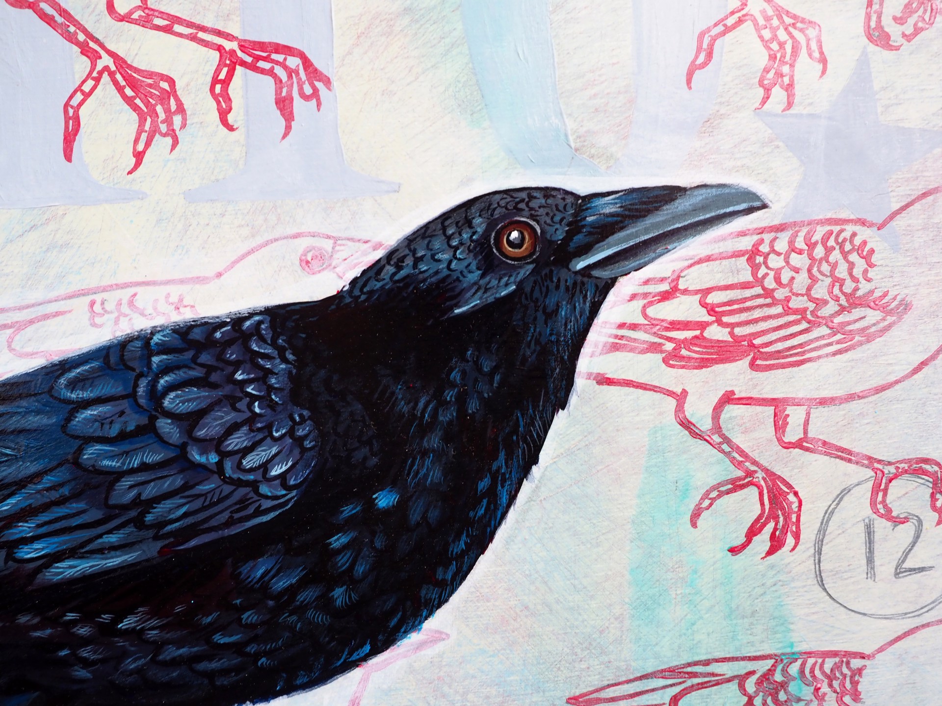 12 Crows by Tim Hooper