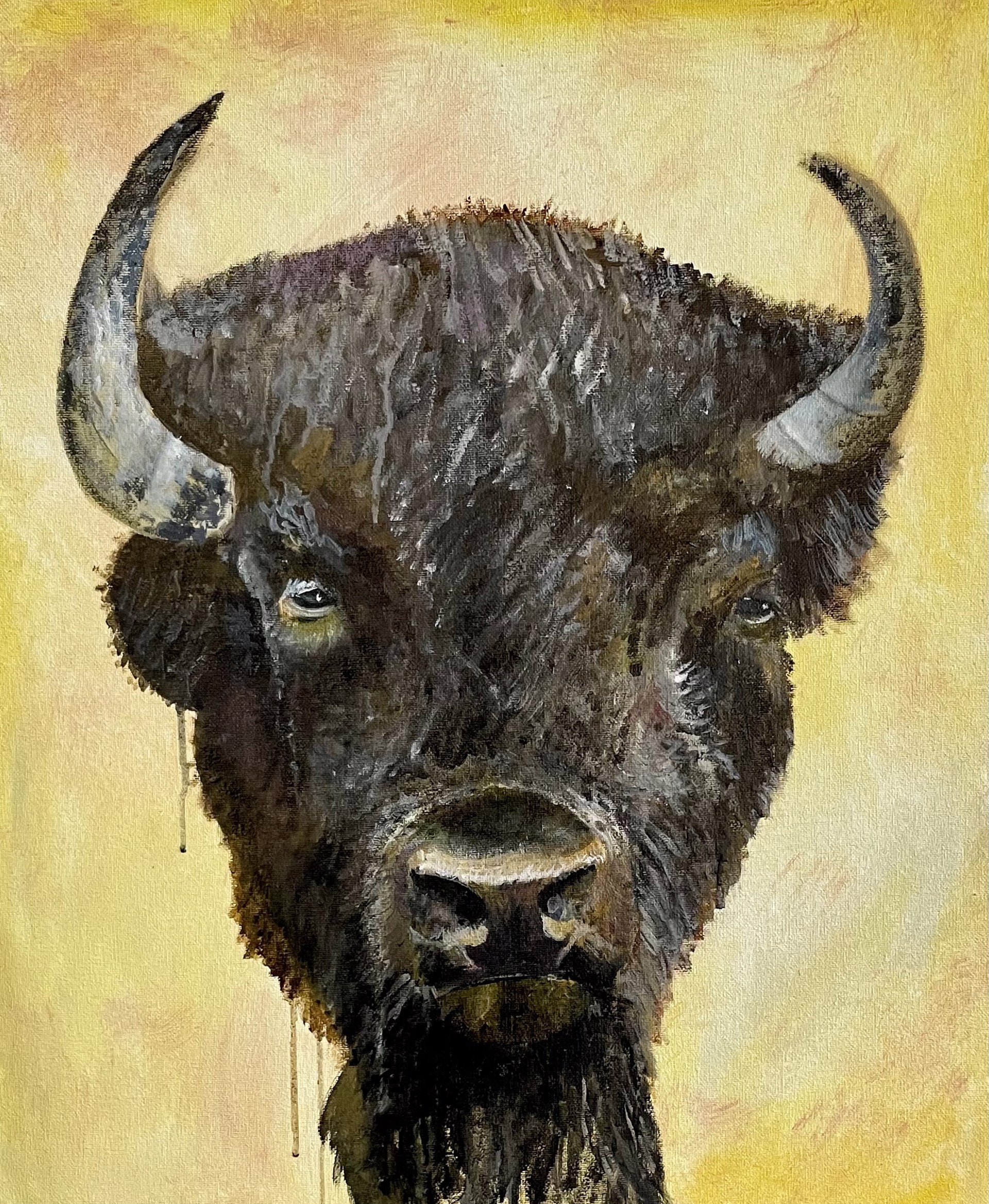 Bison 3 by Joe Broghammer