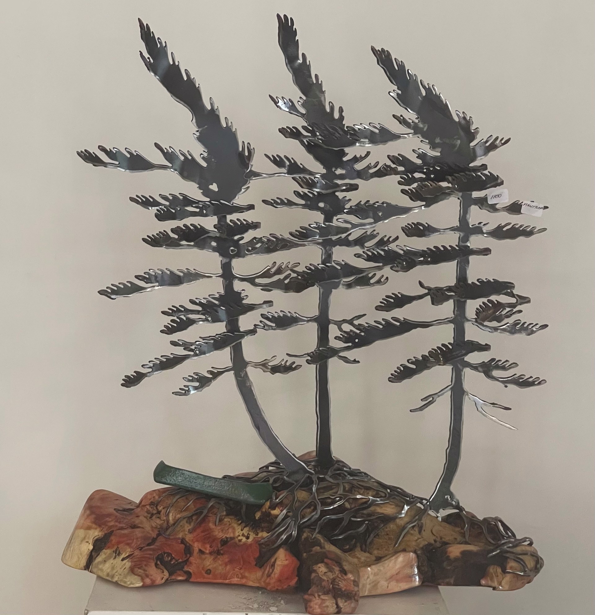 Three Windswept Pine on Manitoba Maple 659389 by Cathy Mark