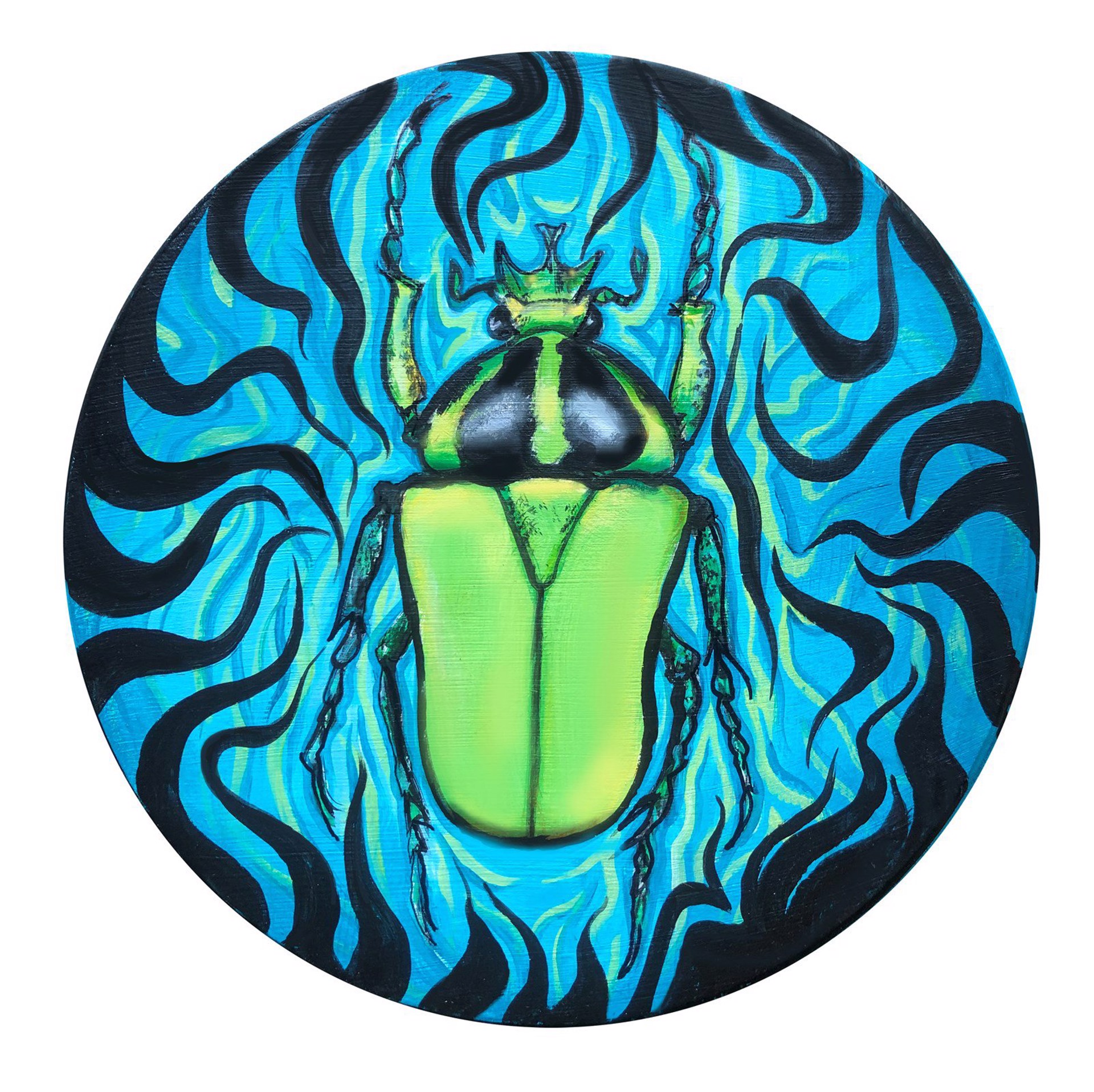 Beetle 1 by Pamela Mower-Conner