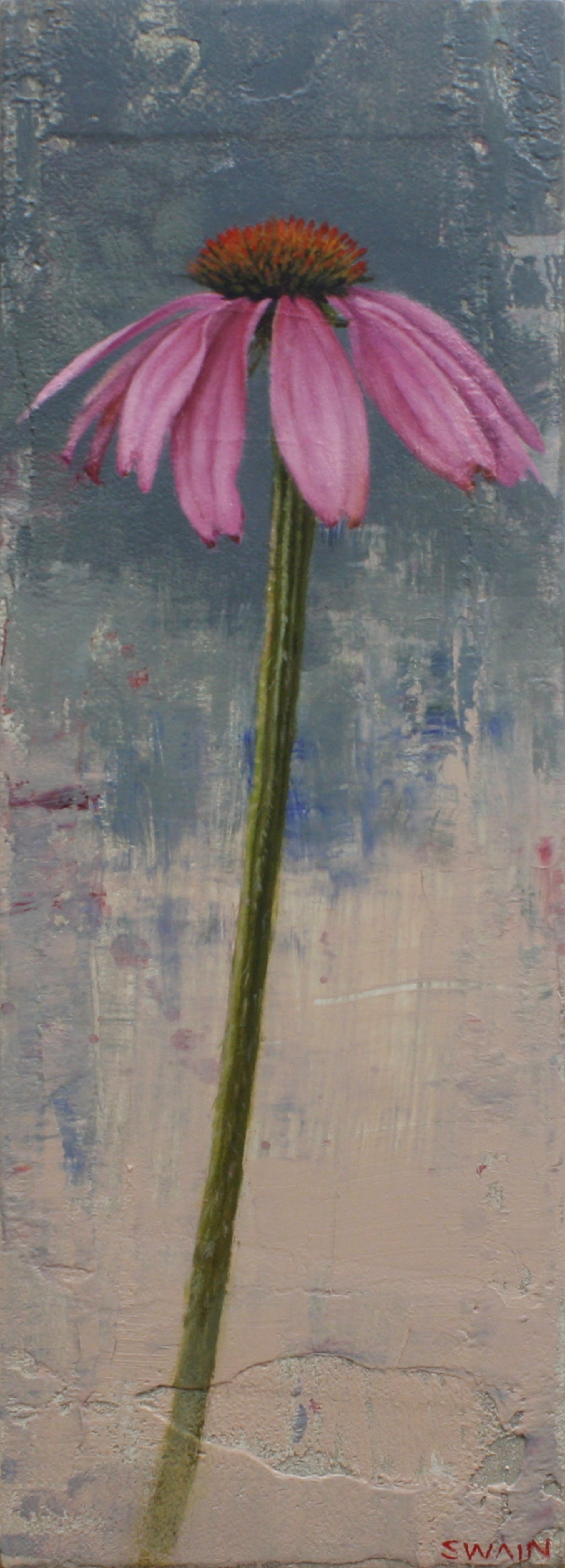 Echinacea by Tyler Swain