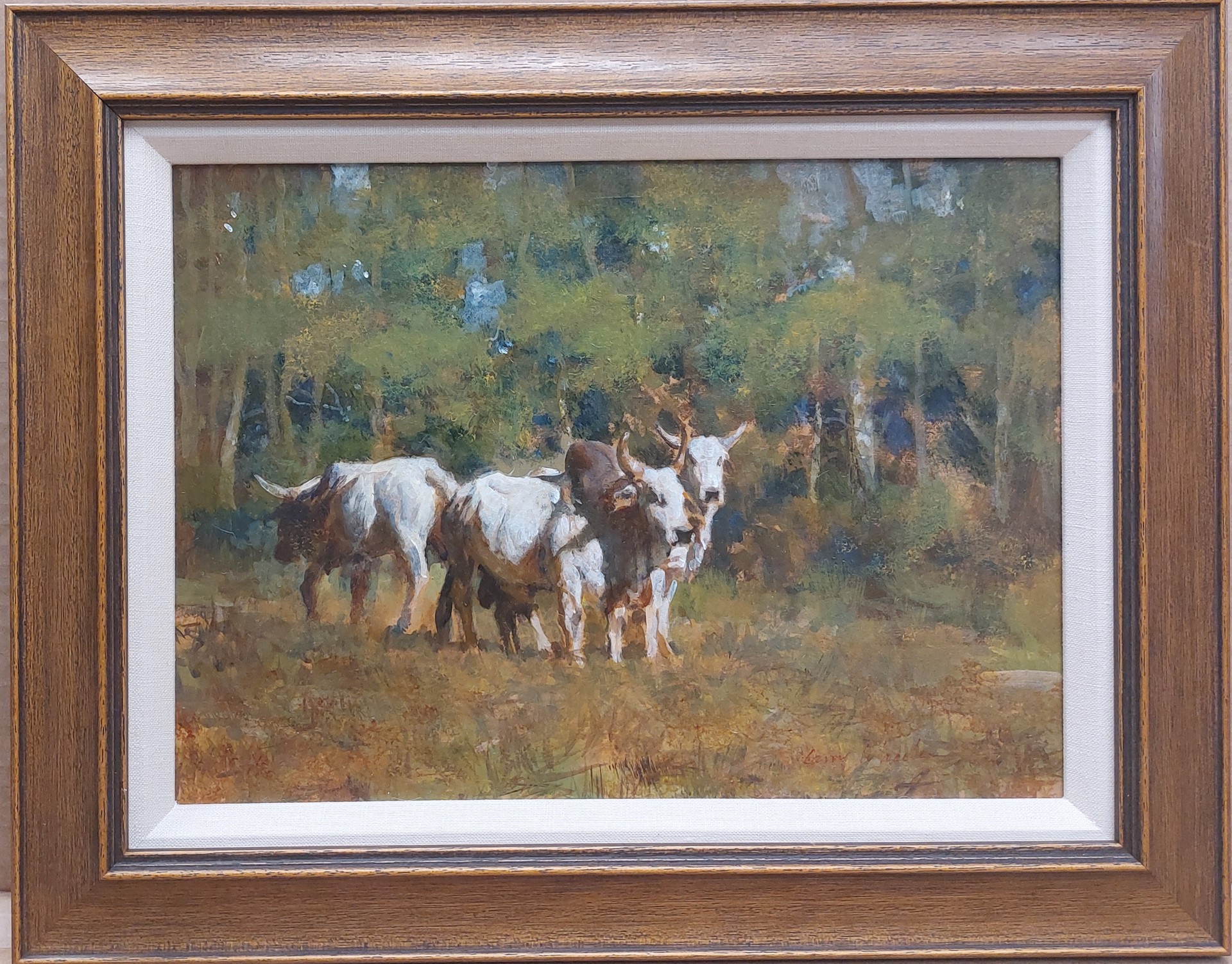 Steers in pasture by Larry Wheeler