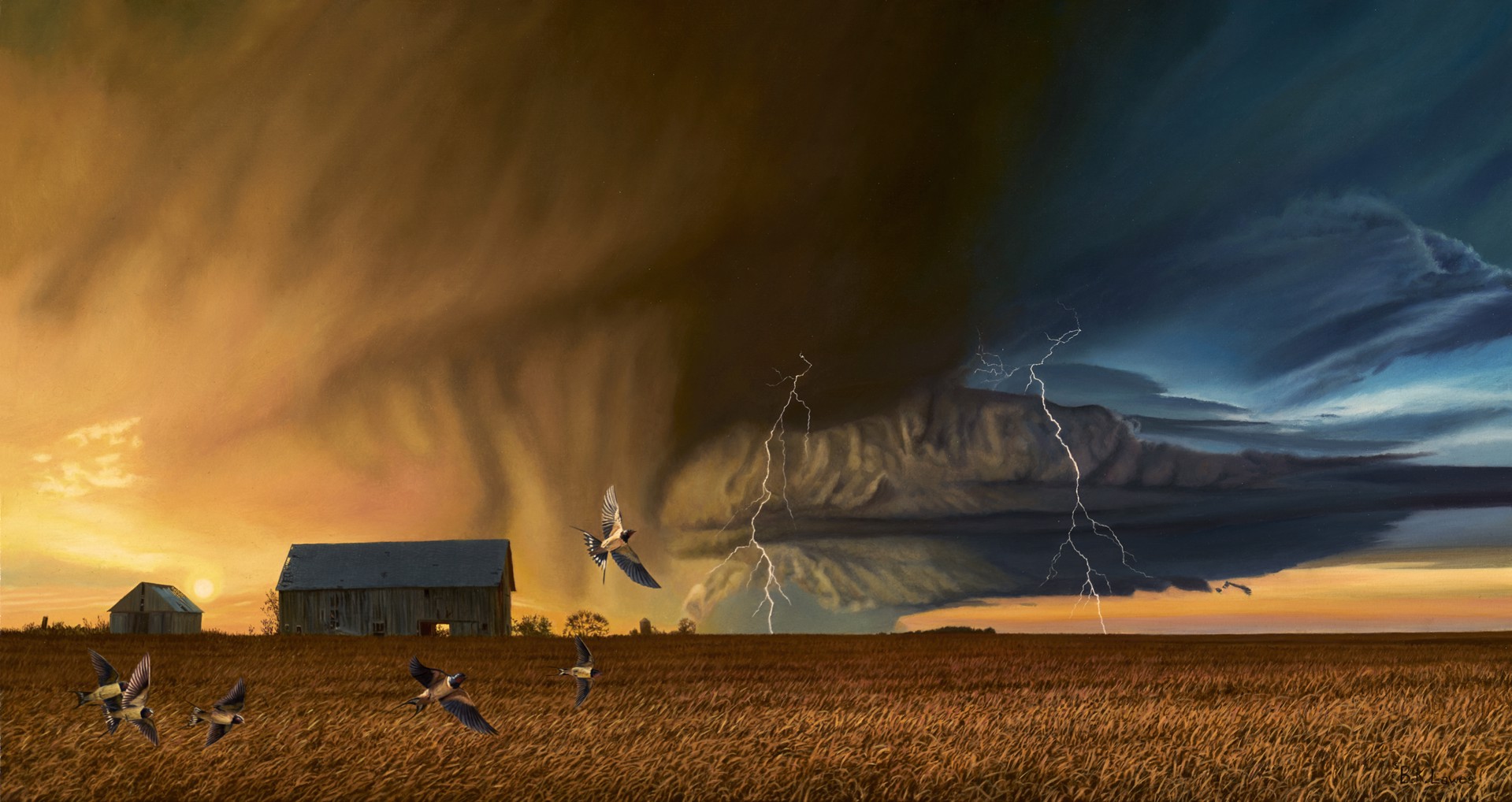 Racing the Storm by Bruce K. Lawes