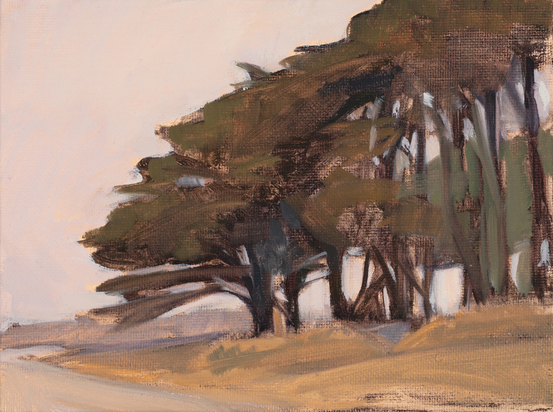 Trees, Cliff Road by Diana Horowitz
