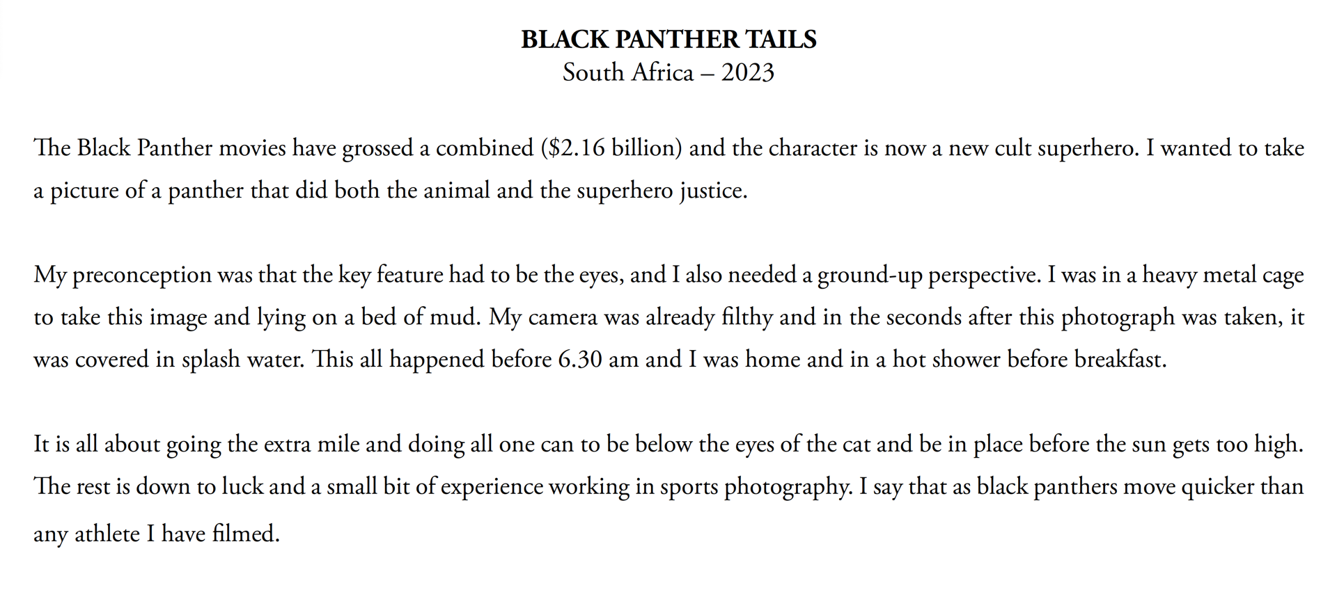 Black Panther Tails by David Yarrow
