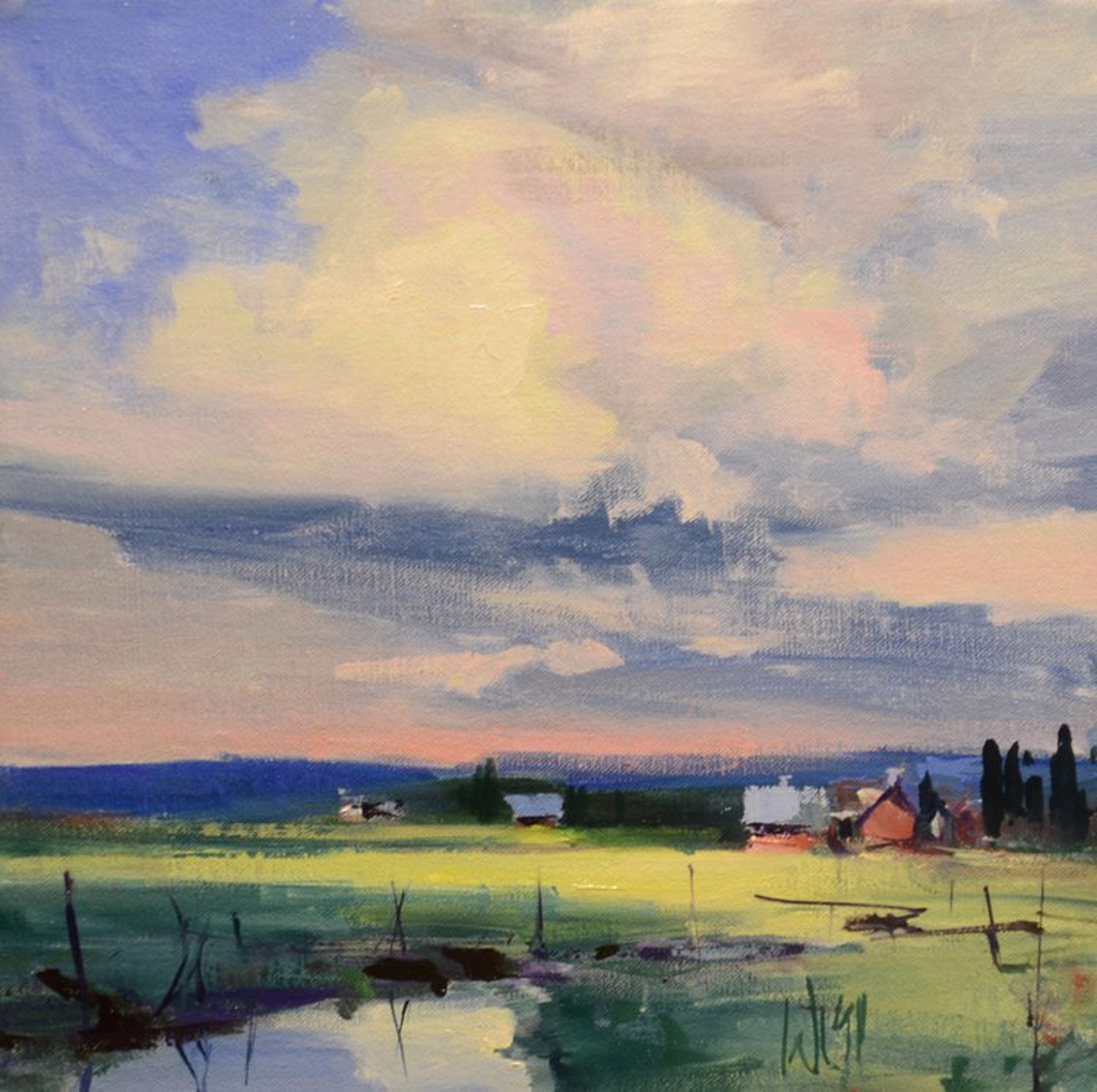 Skagit Farm 1 by Mike Wise