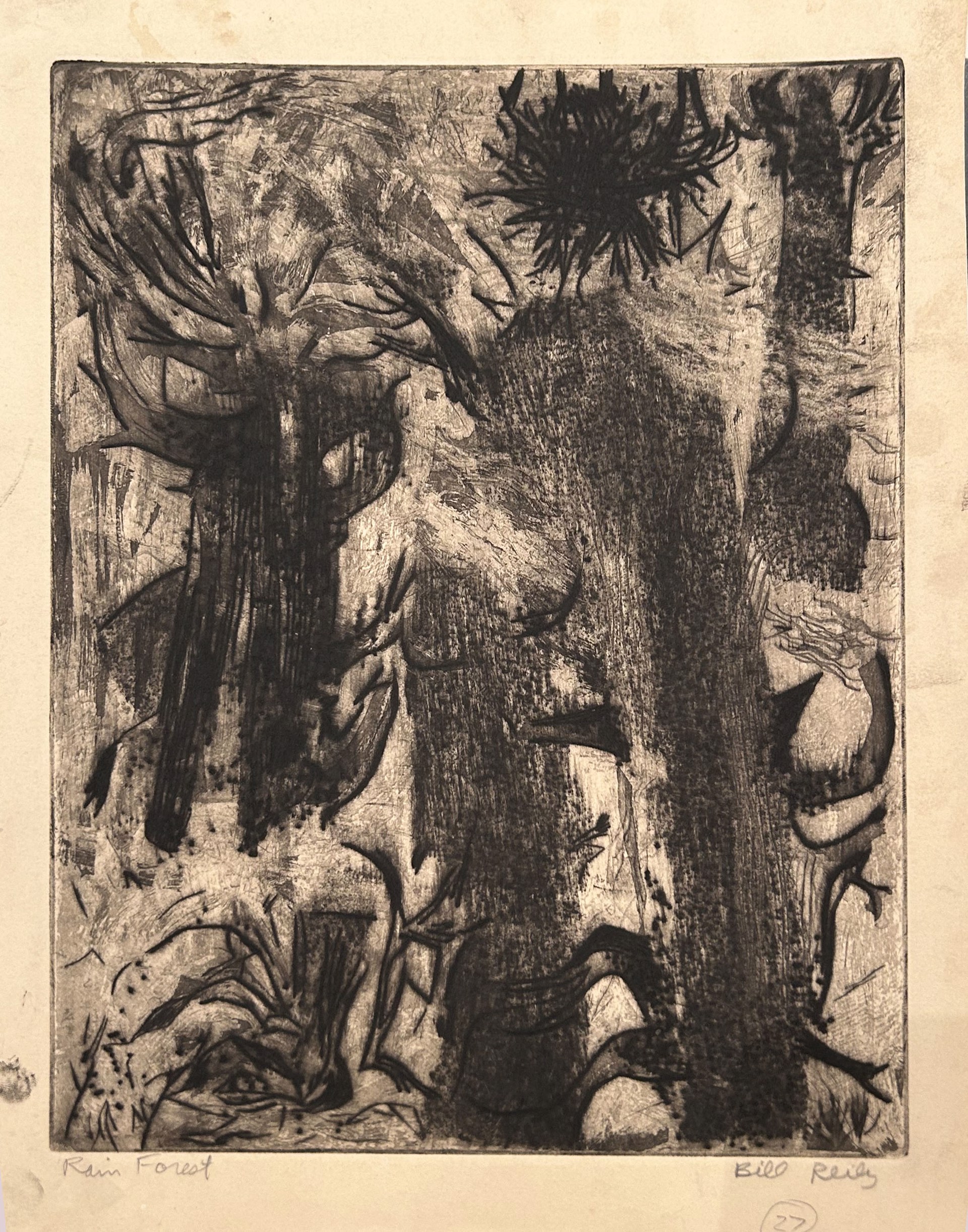 27d. Rain Forest by Bill Reily - Prints