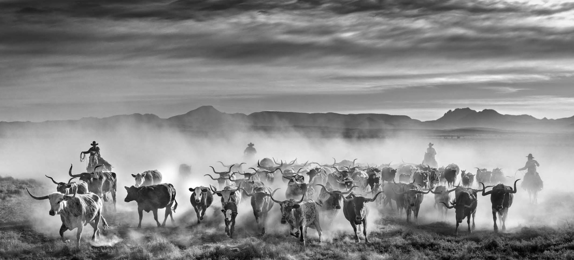 The Thundering Herd by David Yarrow