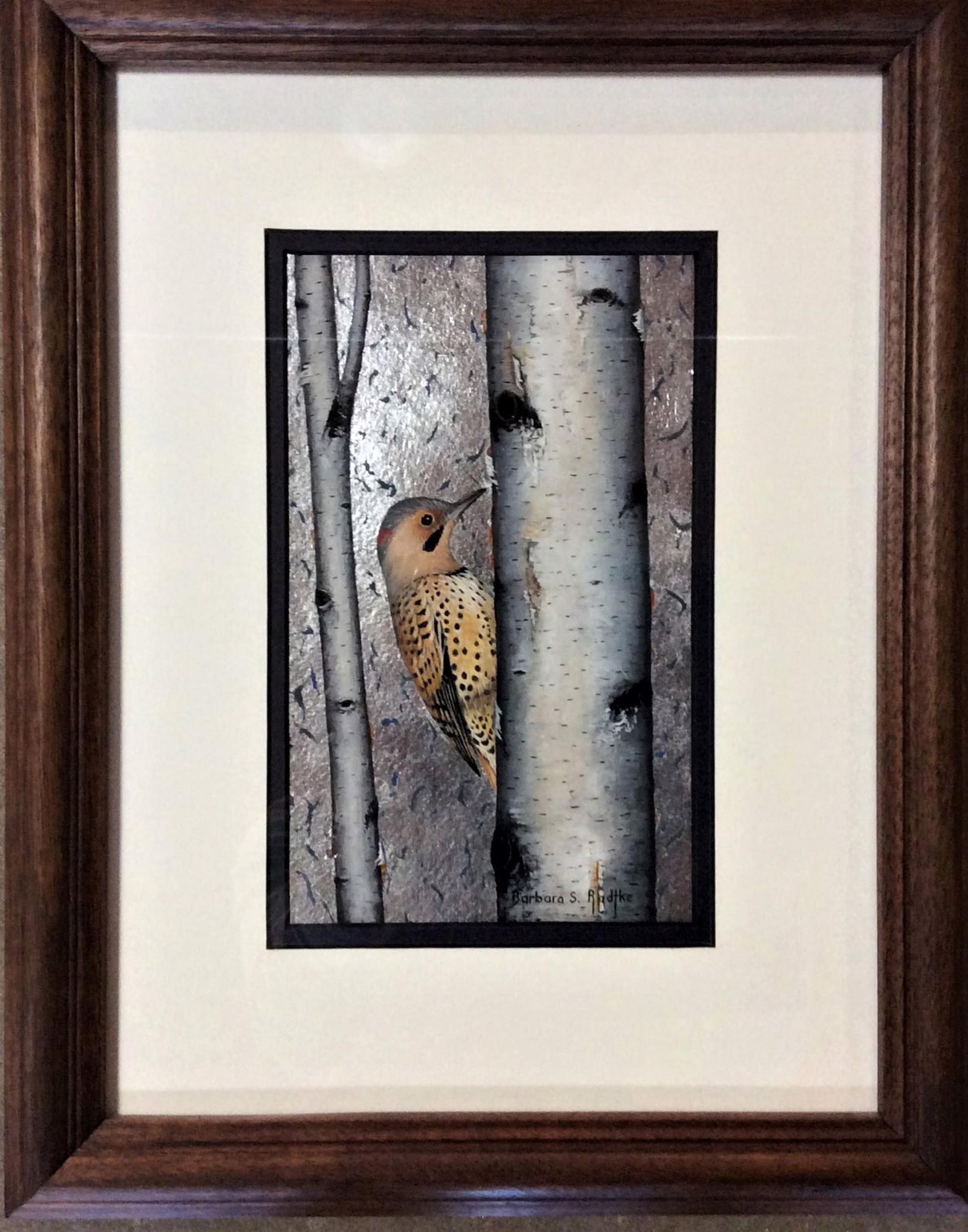 Northern Flicker on Birch by Barbara Radtke