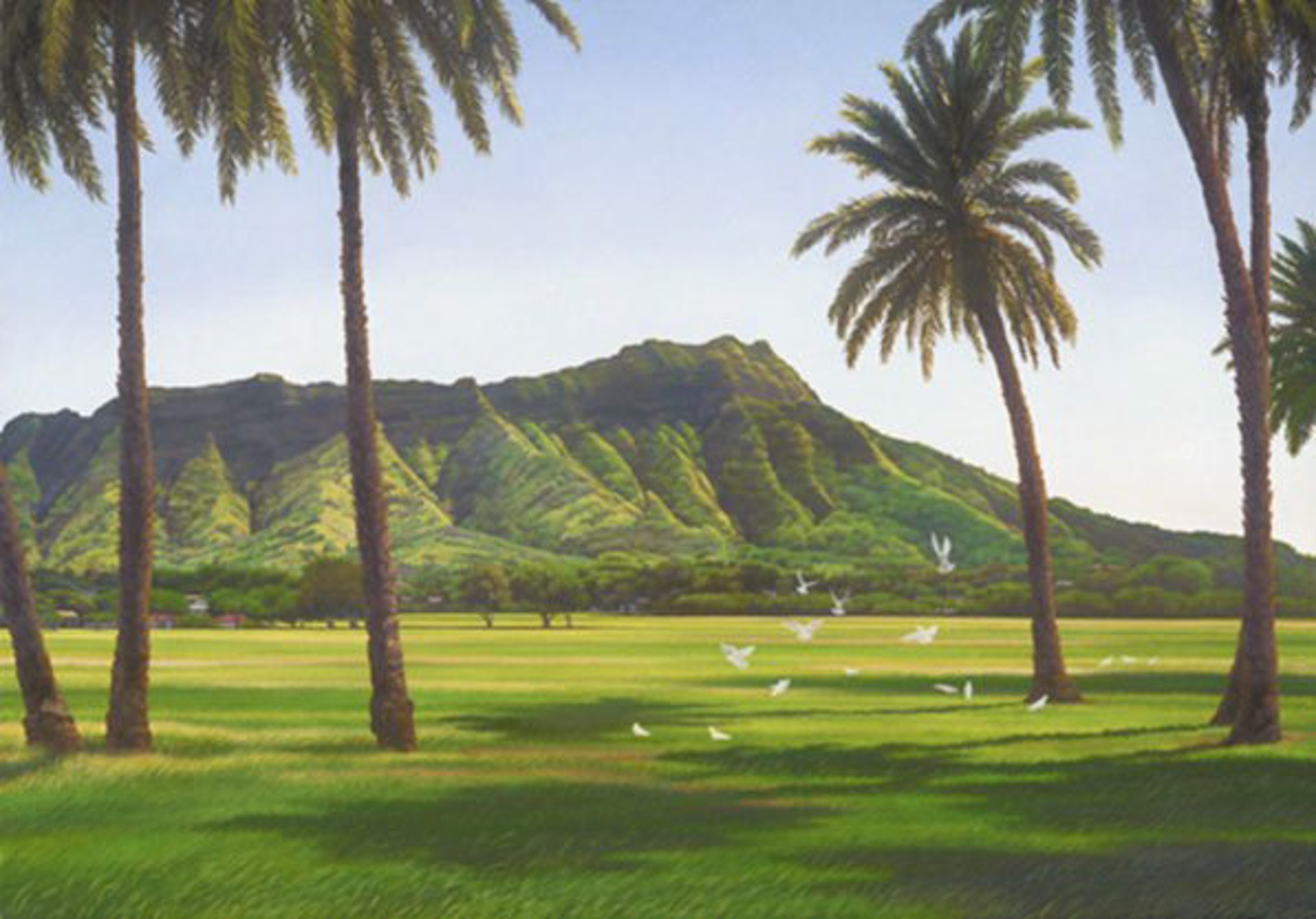 Diamond Head Afternoon by Gary Reed