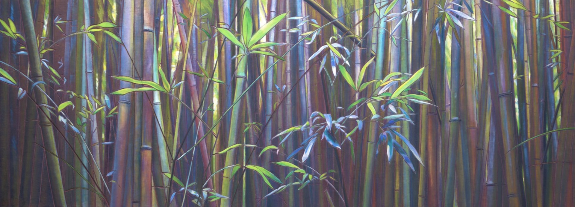 Whispering Light of Bamboo by Joelle C.