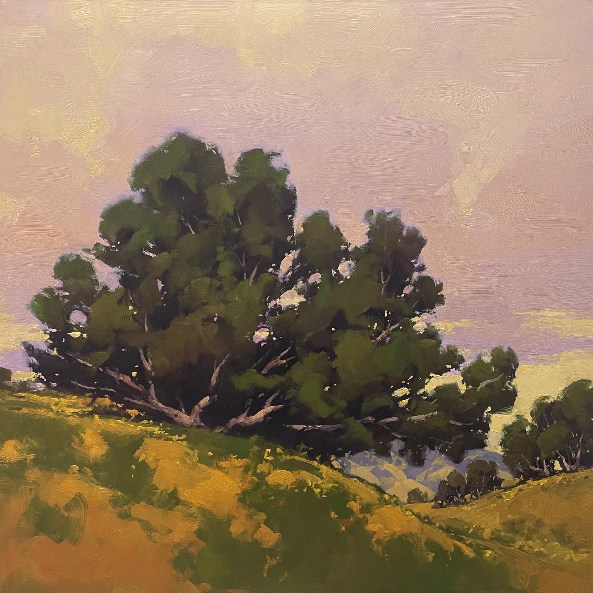 Oak at Dusk by Gregory Stocks