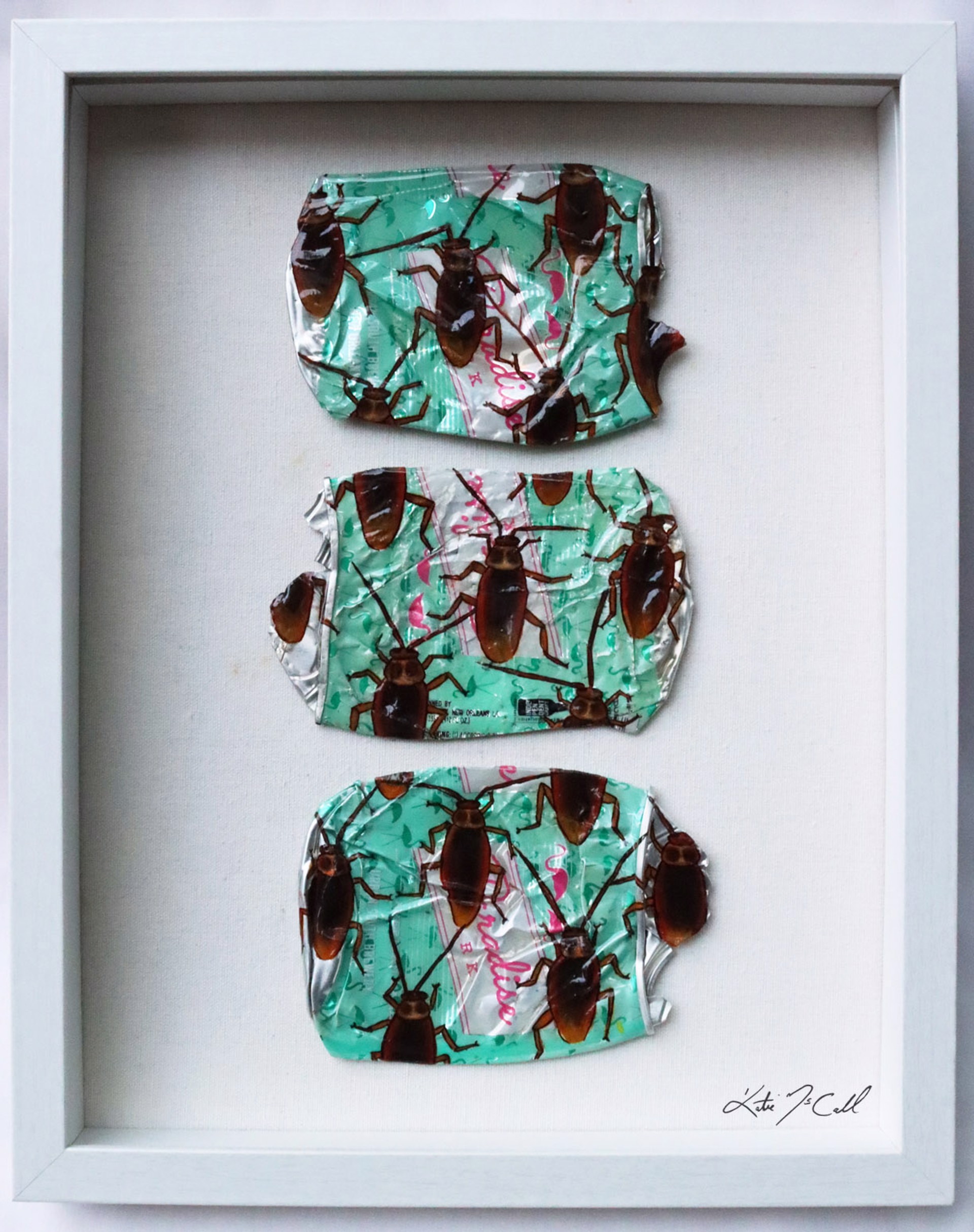 Cockroach Triptych by Katie McCall