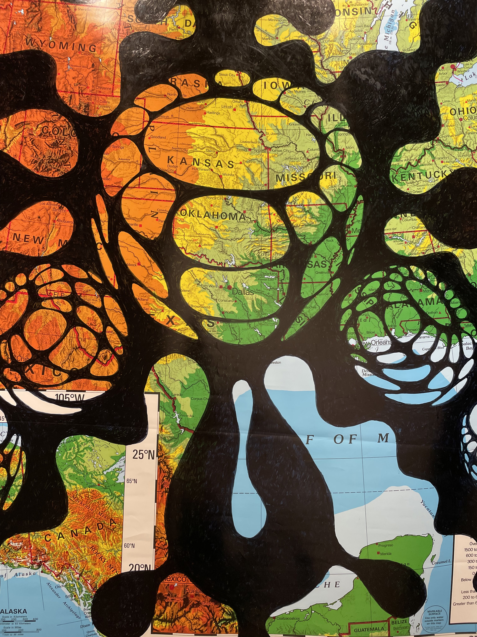 Steven Bernard Jones Lydia Street Gallery