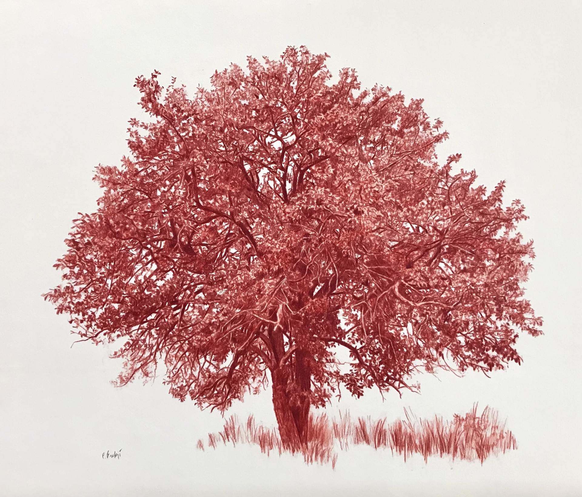 Árbol en Marrón Perileno 2 by Conchita Bardají