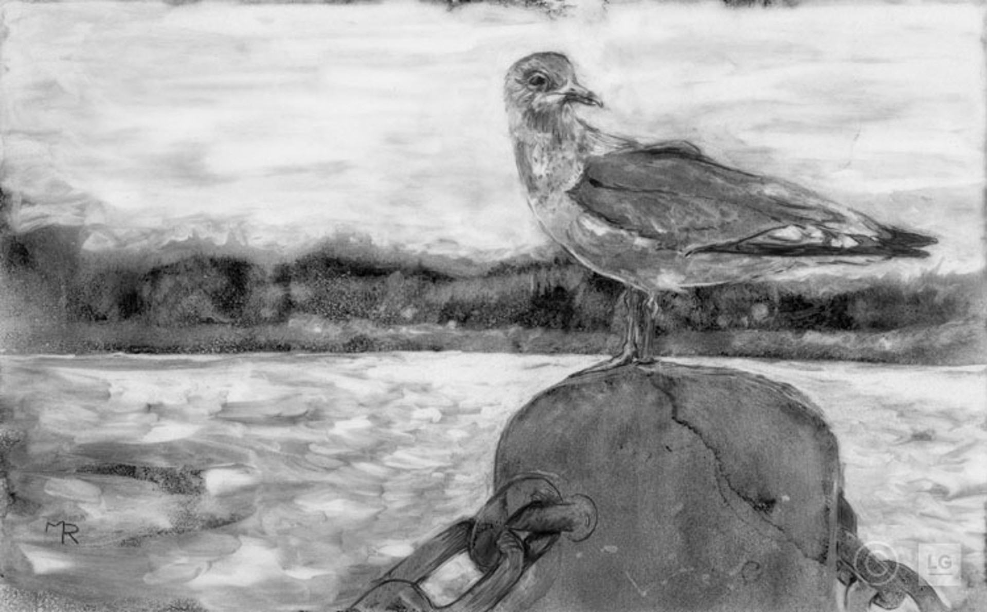 Seagull by Michael Rajnicek