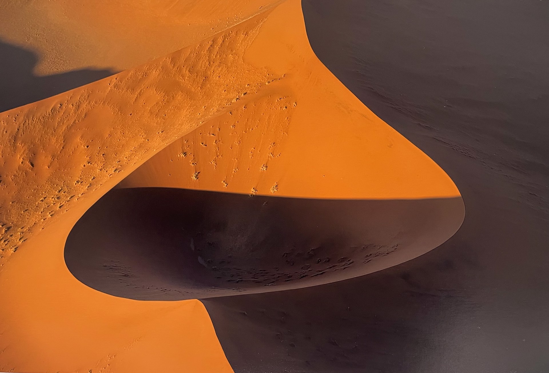 Desert by Arnold Abelman