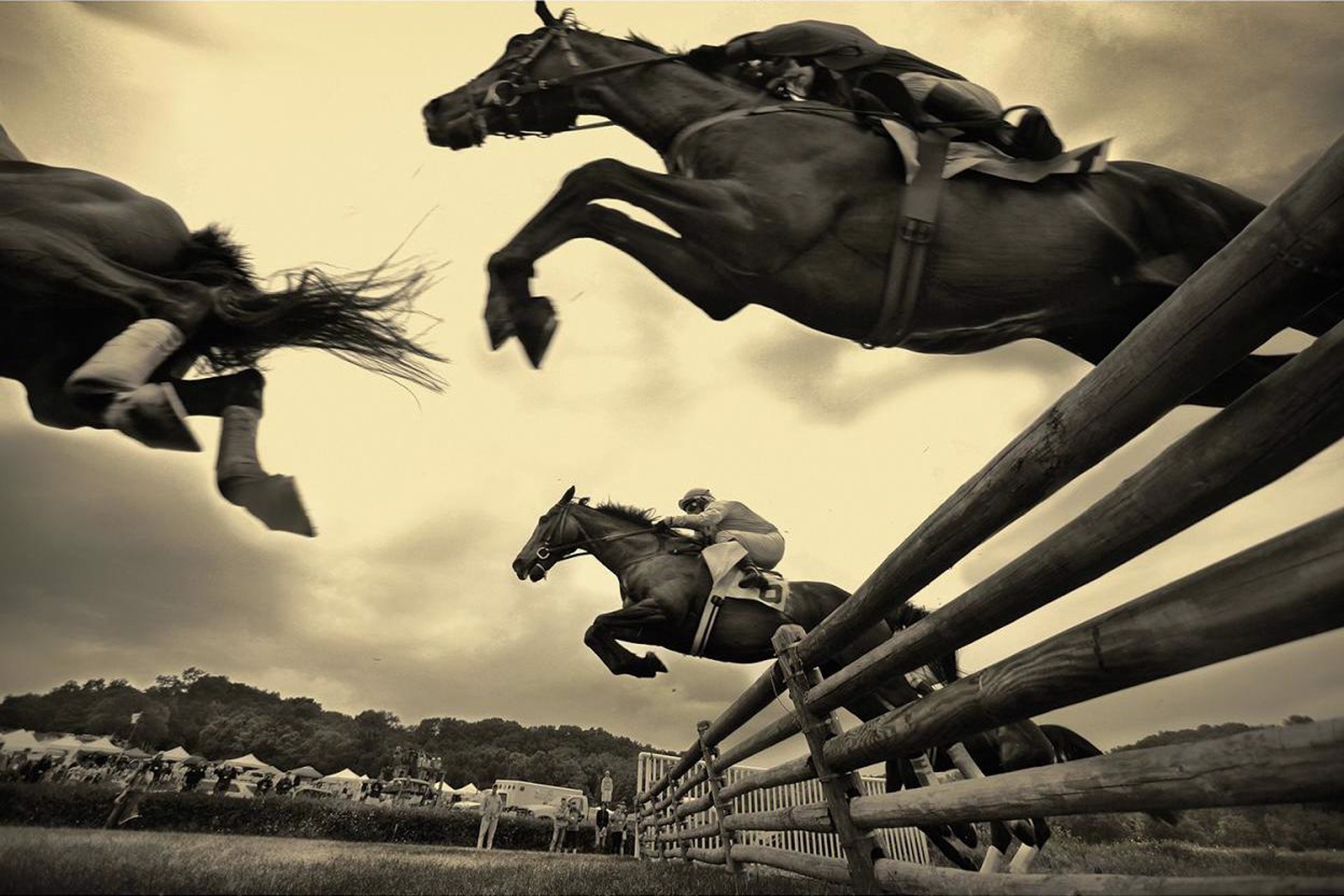 Iroquois Steeplechase, Nash. TN by Brown W. Cannon III