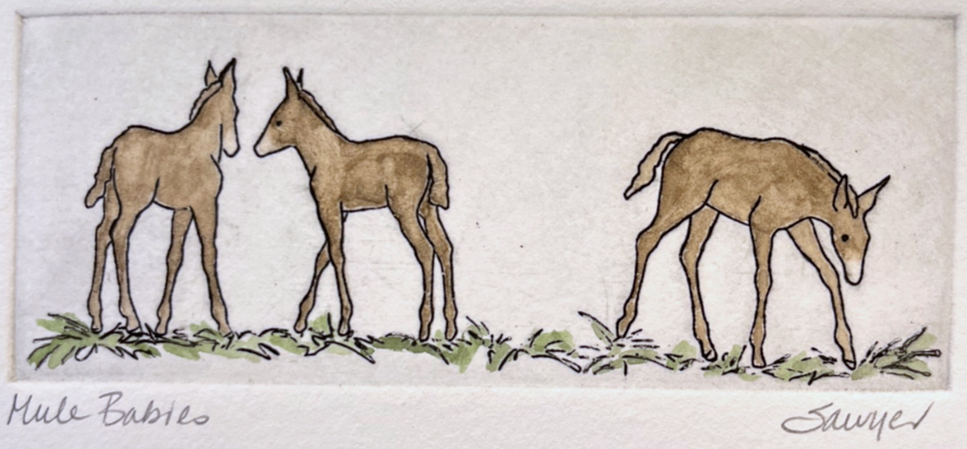 Mule Babies (unframed) by Anne Sawyer