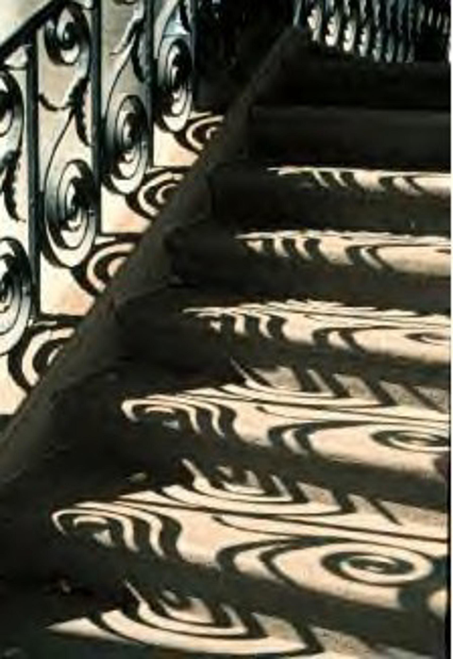 Stairway Shadows at Society Hall by Ron Rocz