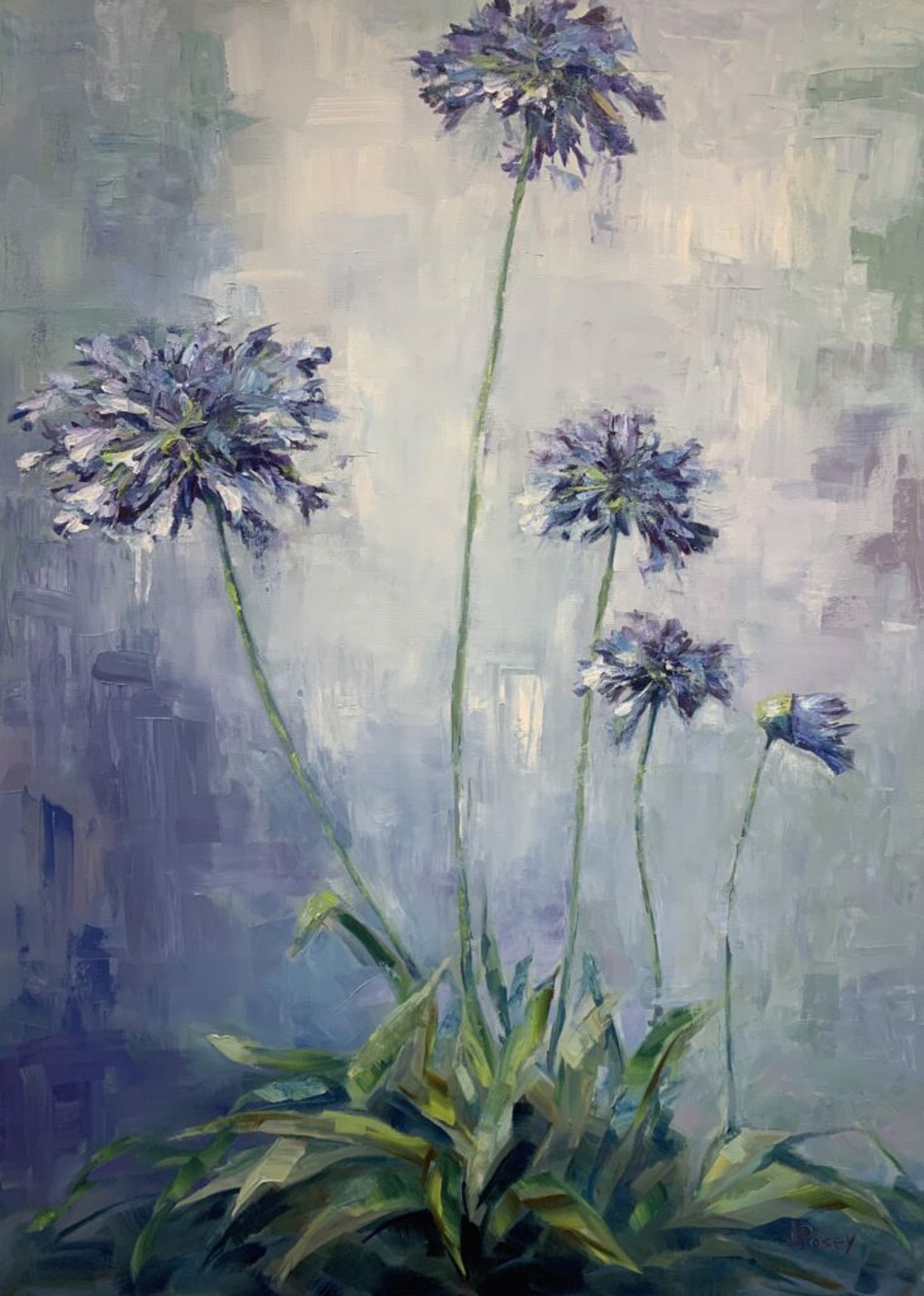 Agapanthus by Jeany Posey