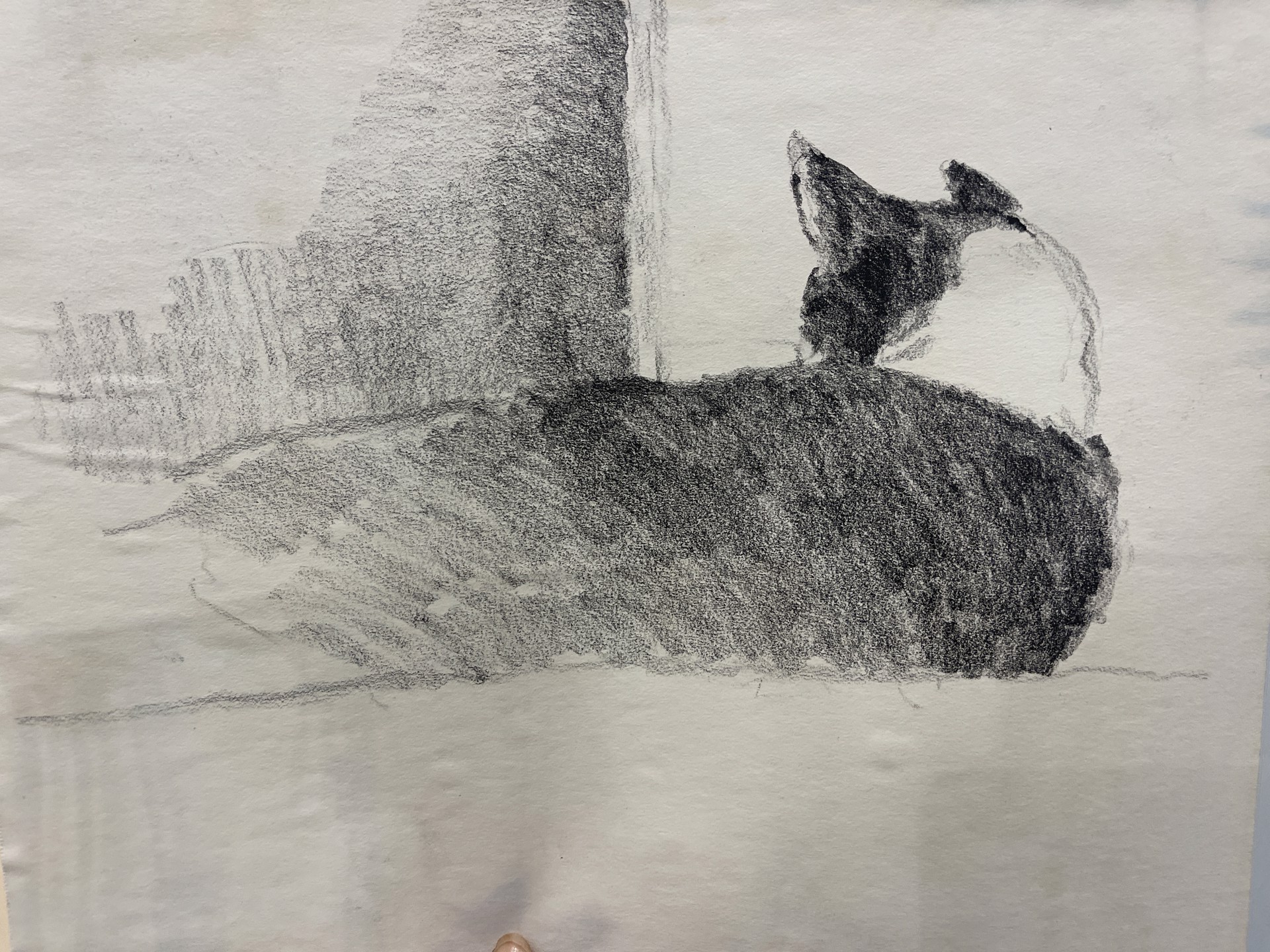 Backside of Cat by Shirley Rabe' Masinter