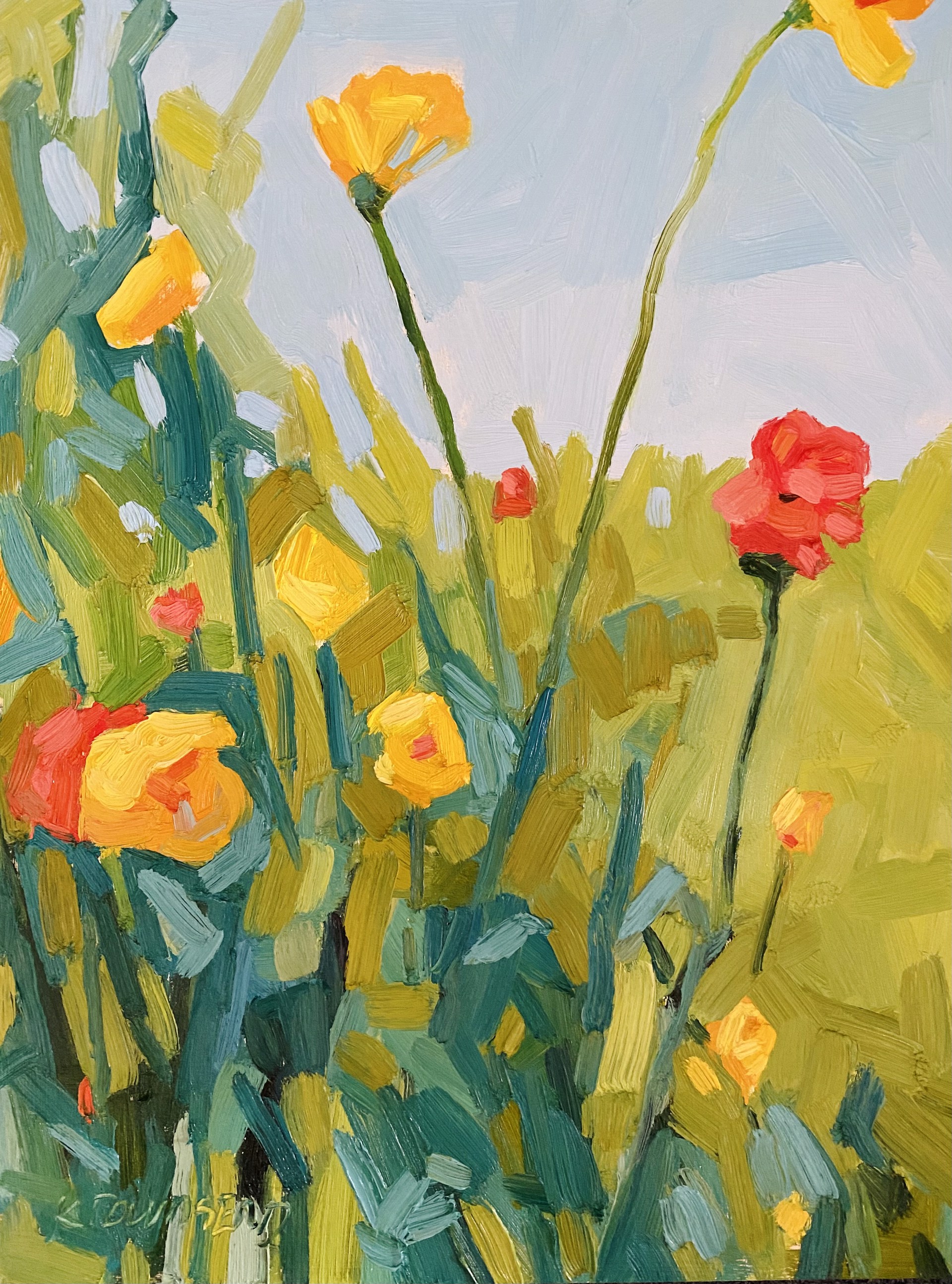 Poppies by Krista Townsend