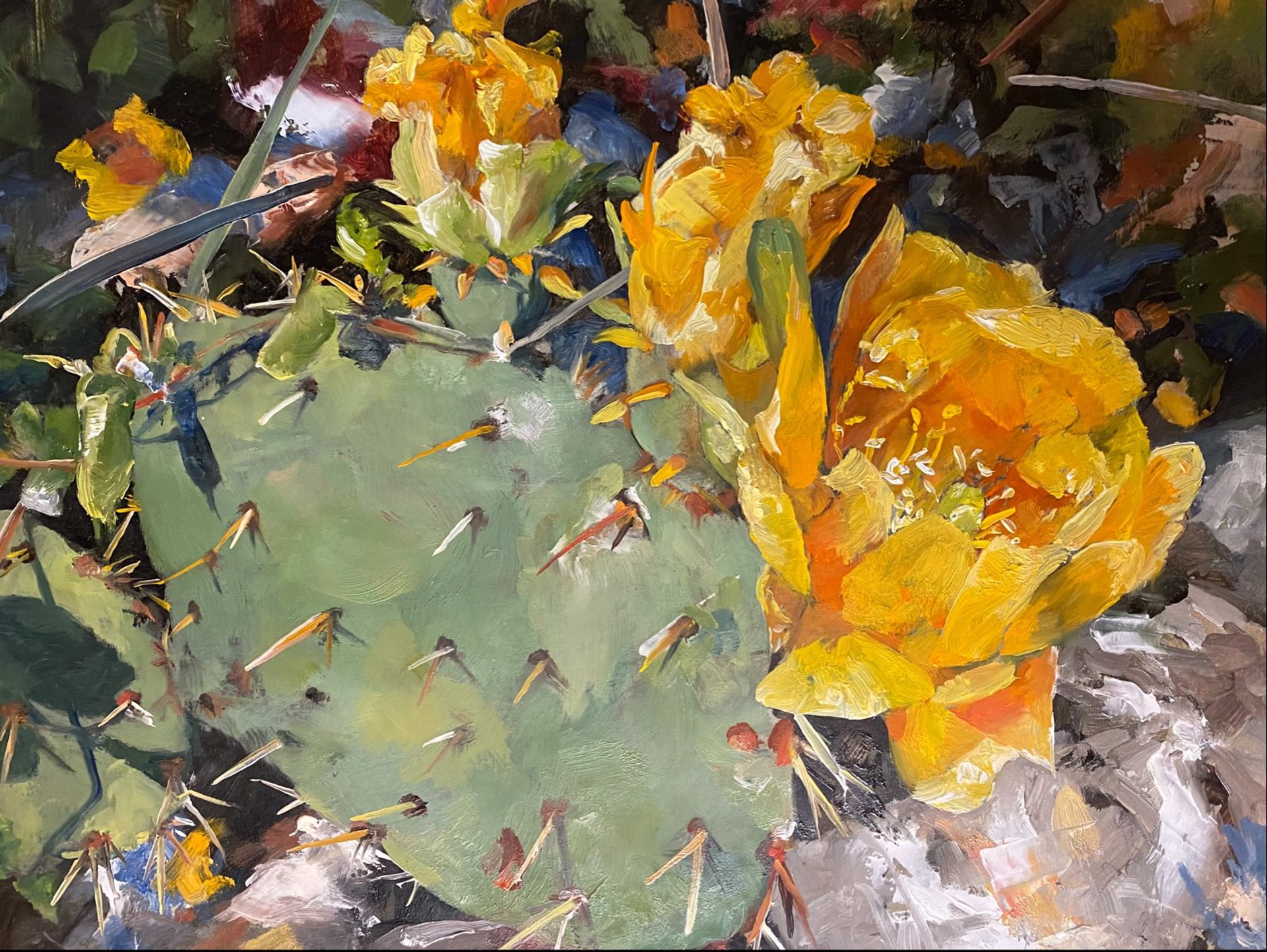 Yellow Cactus Flower by Malou Flato
