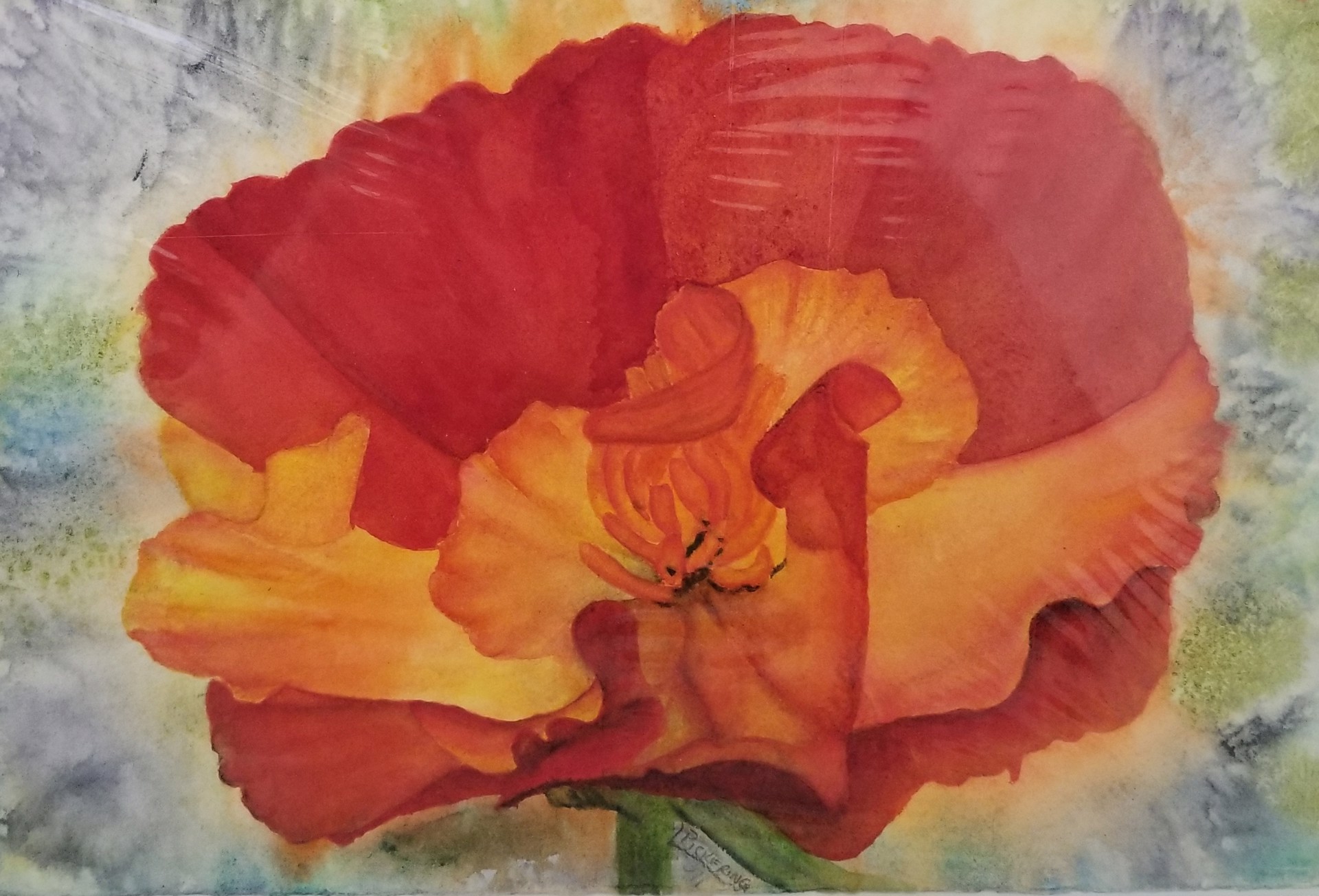 Orange Poppy by Laura Pickering