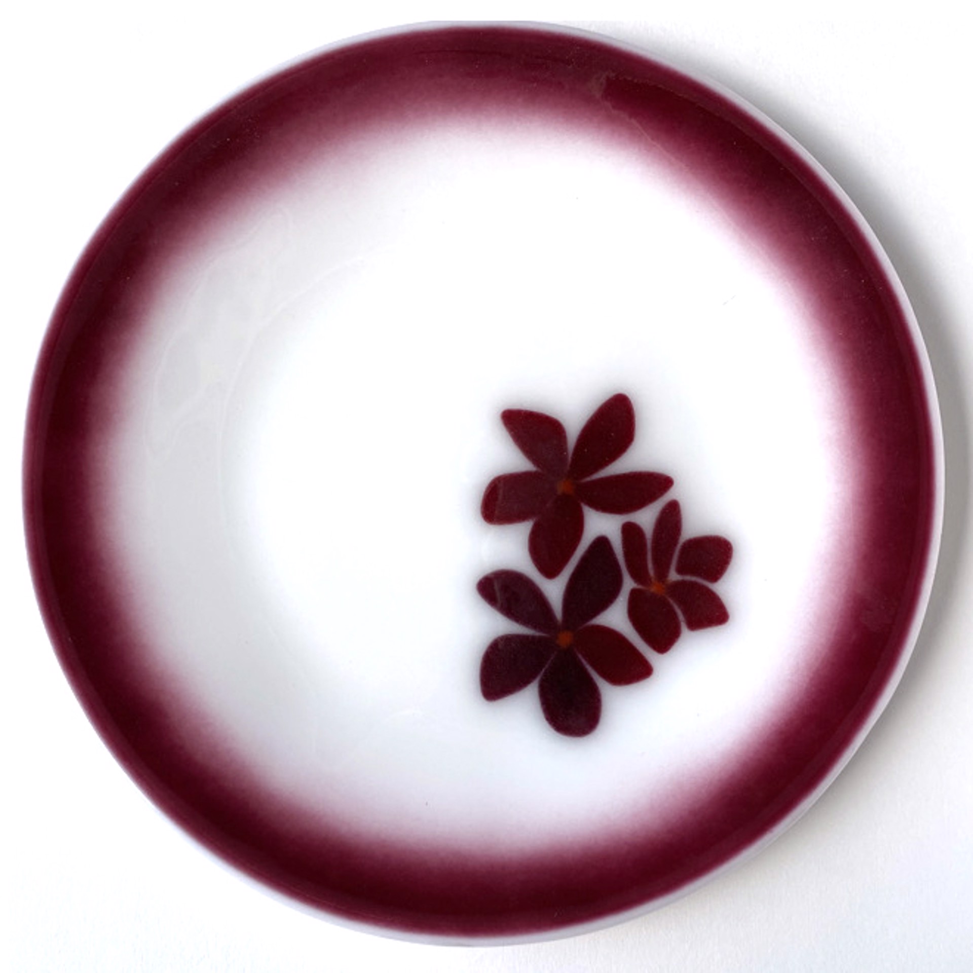 Red Plumeria Plate by Jennifer Welch