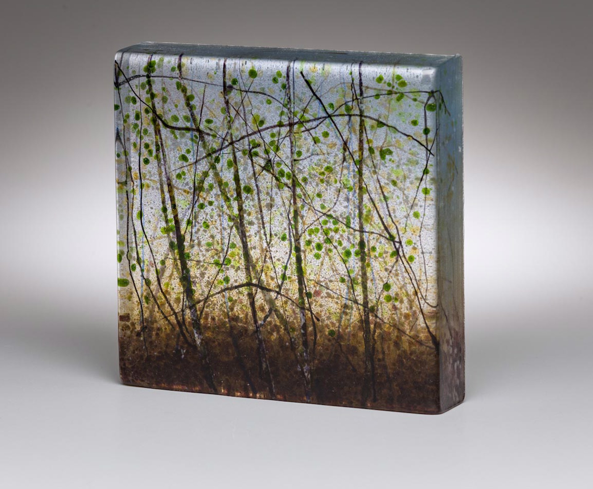 SpringForest by Angelita Surmon