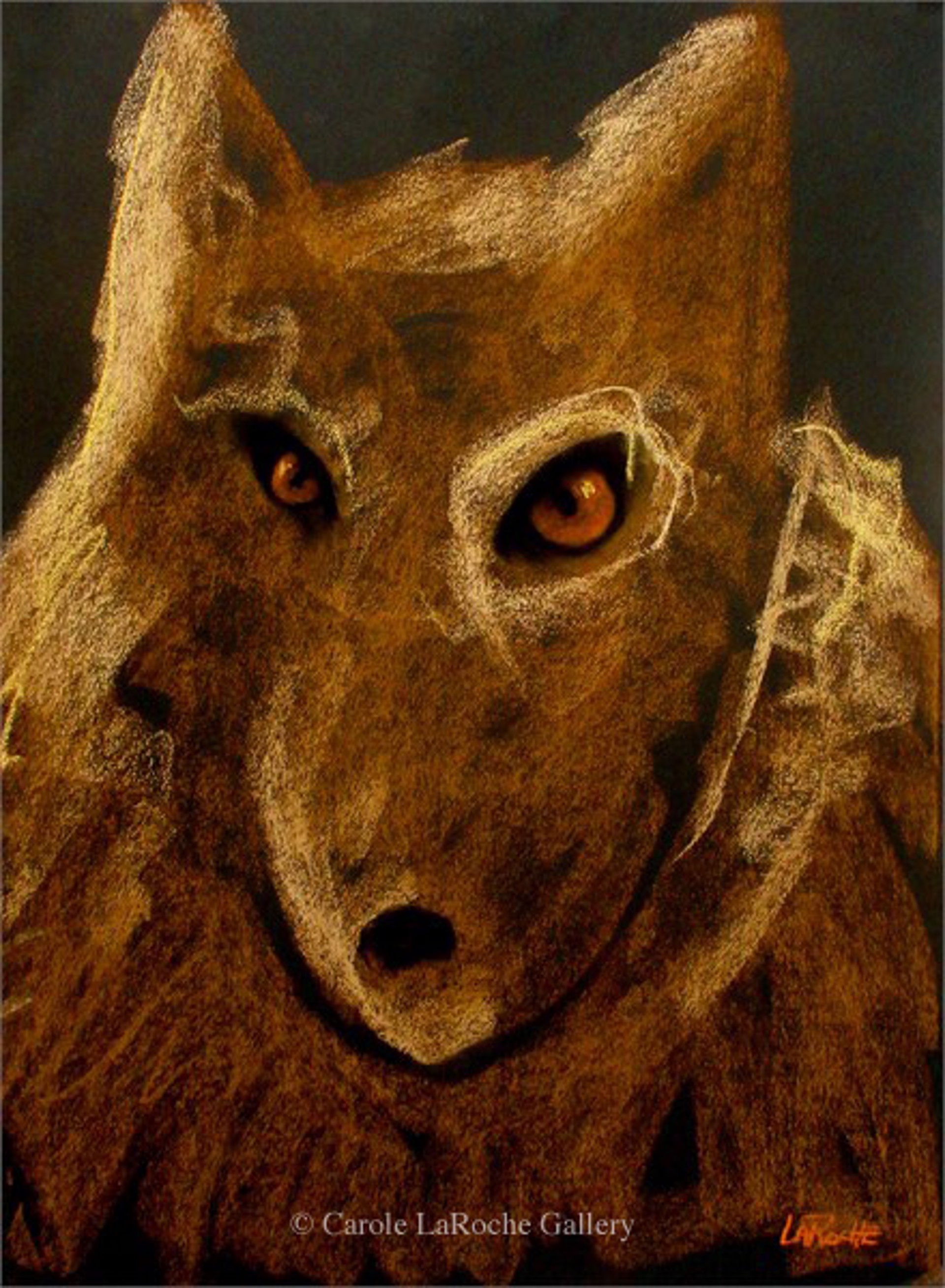 GOLDEN BROWN WOLF by Carole LaRoche