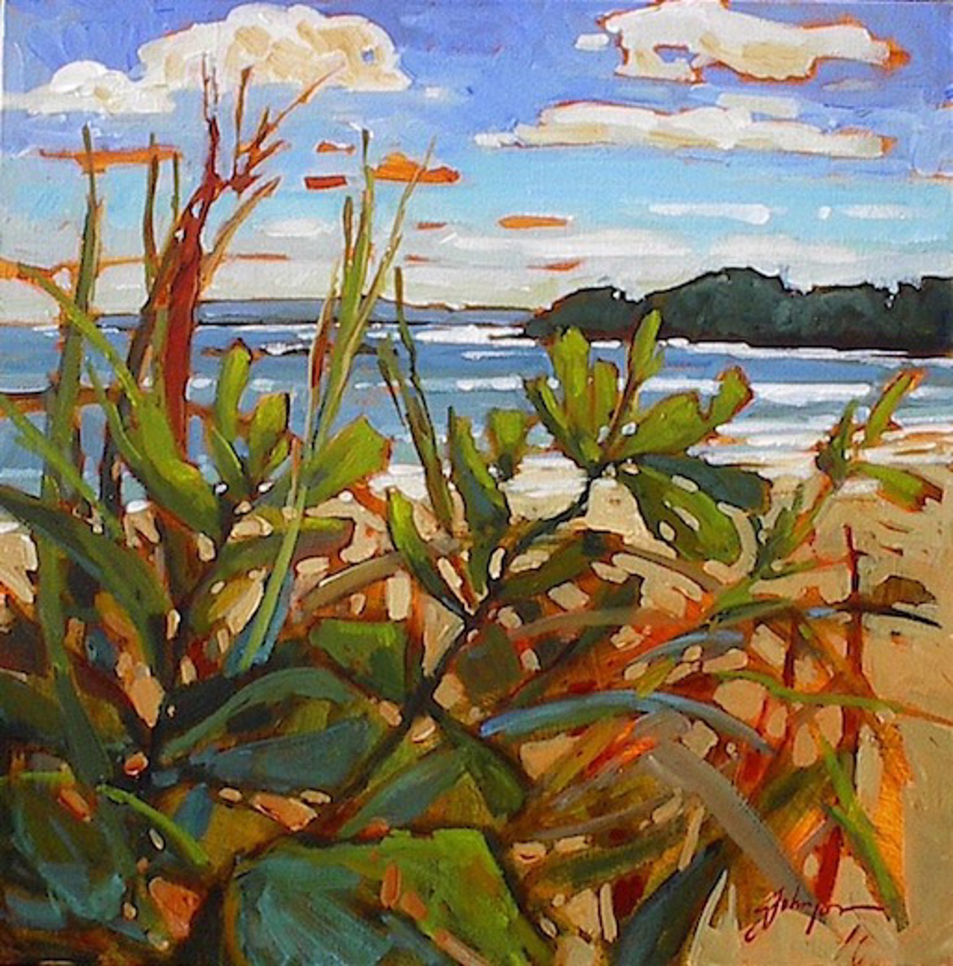 Mackenzie Beach Morning by Gail Johnson