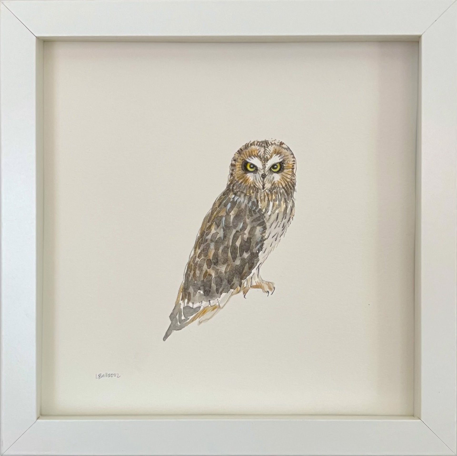 Short Eared Owl by Laura Ball