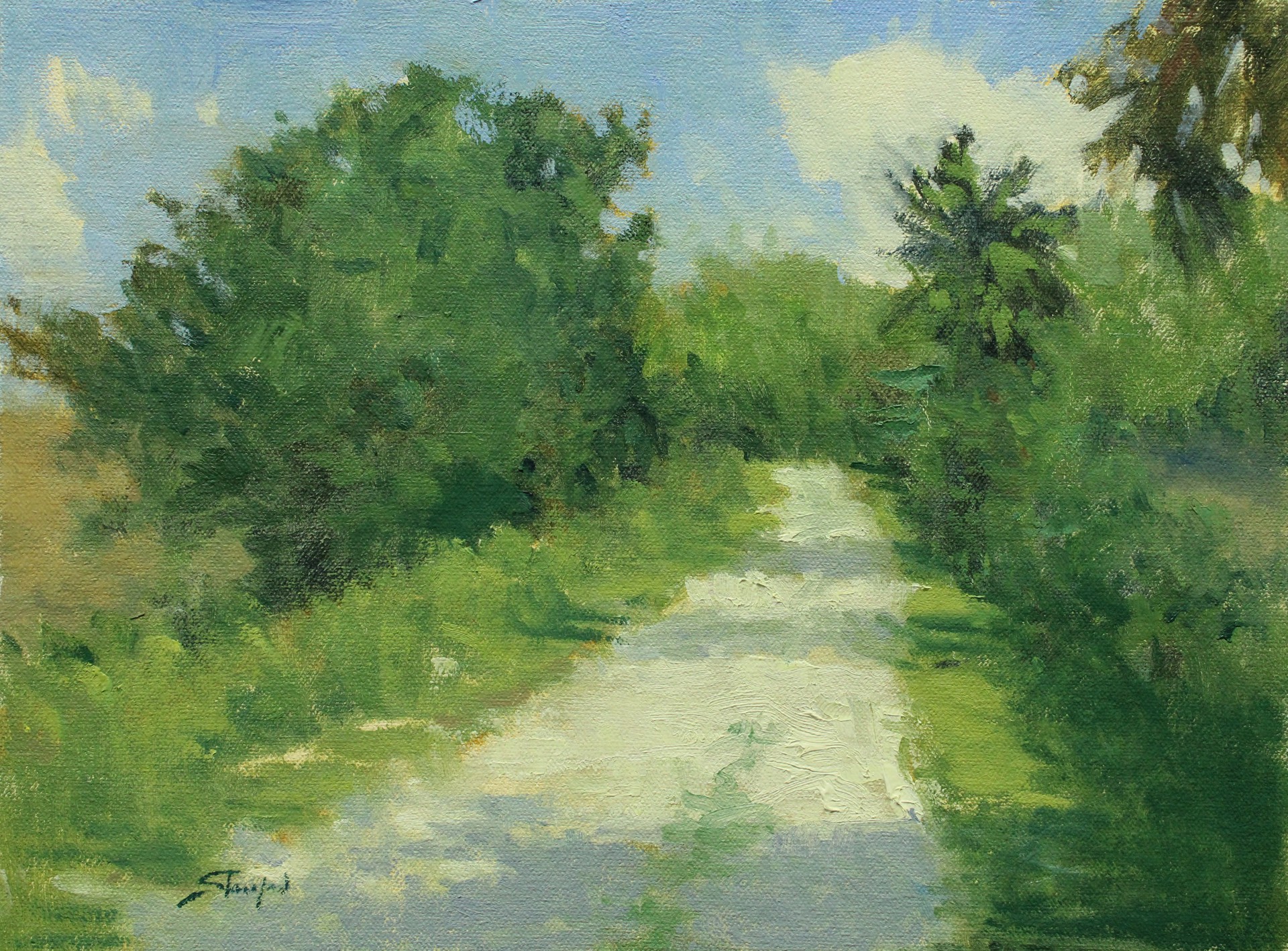Marsh Road by John Stanford