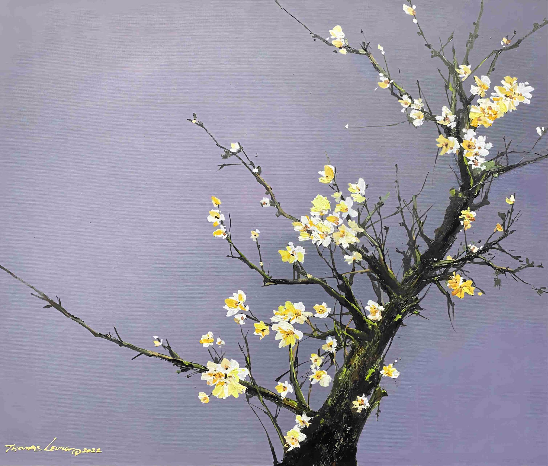 White Blossom by Thomas Leung