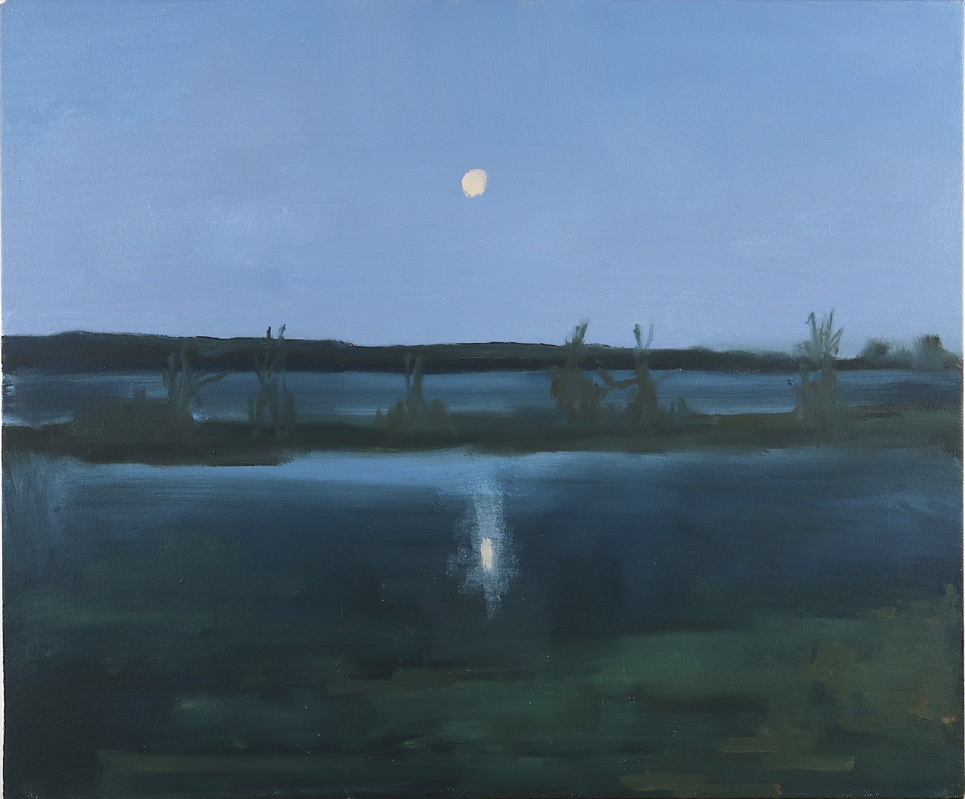 Moon Over the Marsh by Richard Kooyman