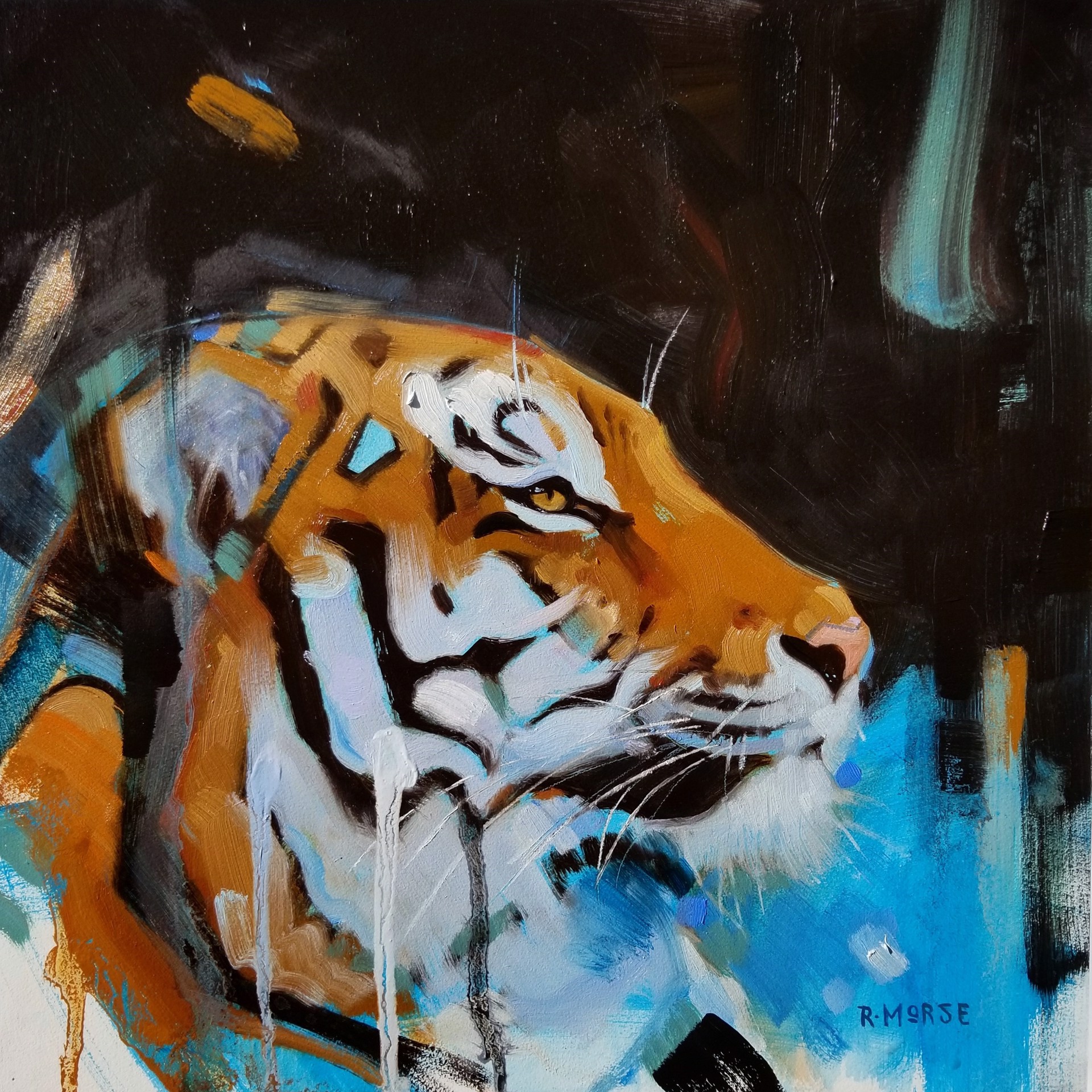 Tiger by Ryan Morse
