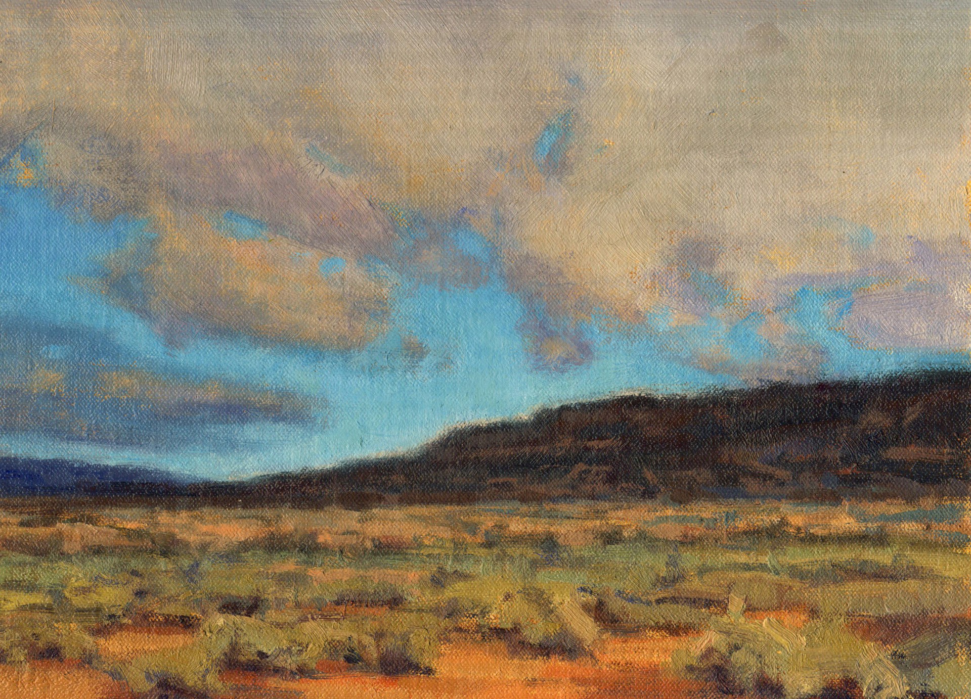 The Turquoise Sky by Cecilia Robertson