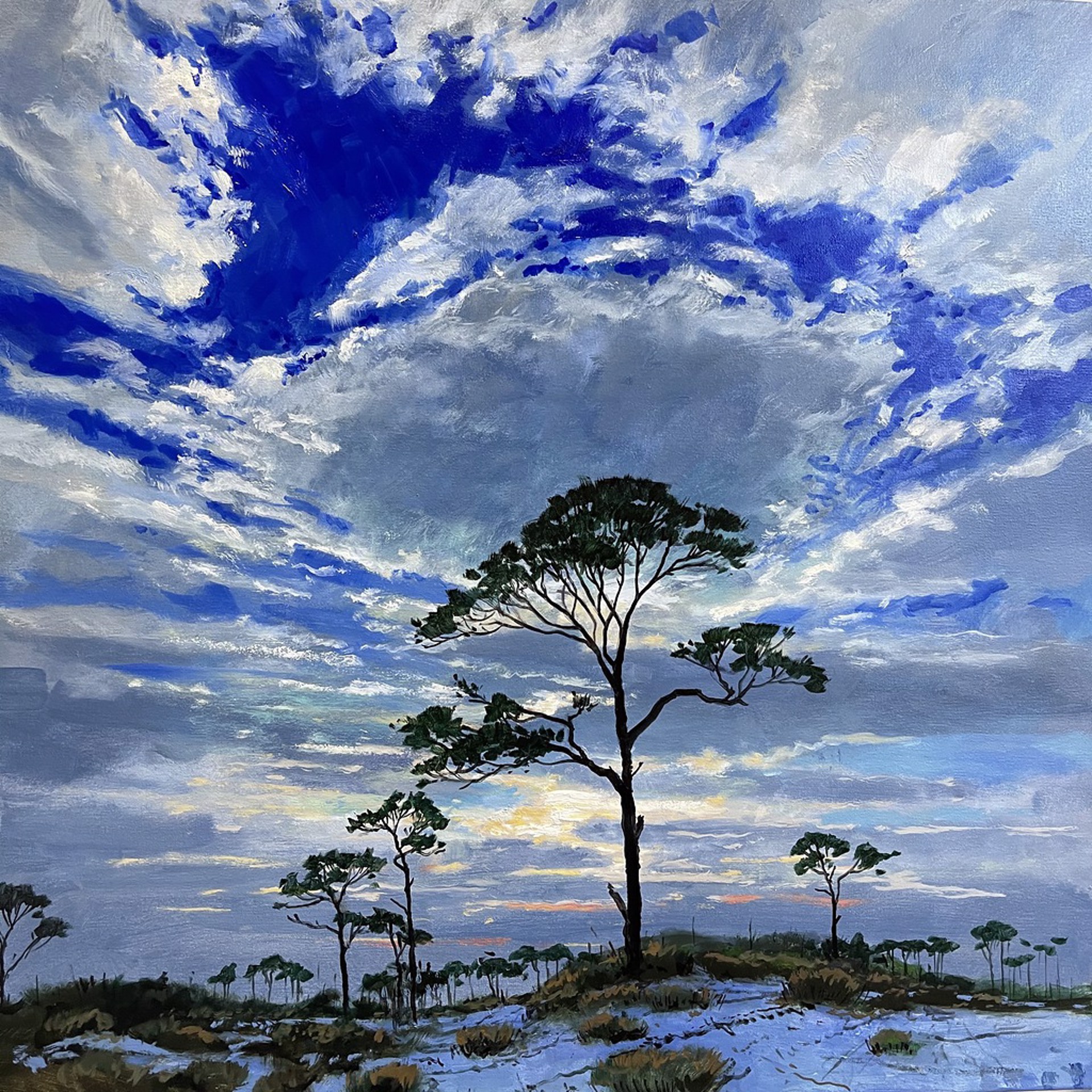 Pines and Flowering Rosemary by Billy Solitario